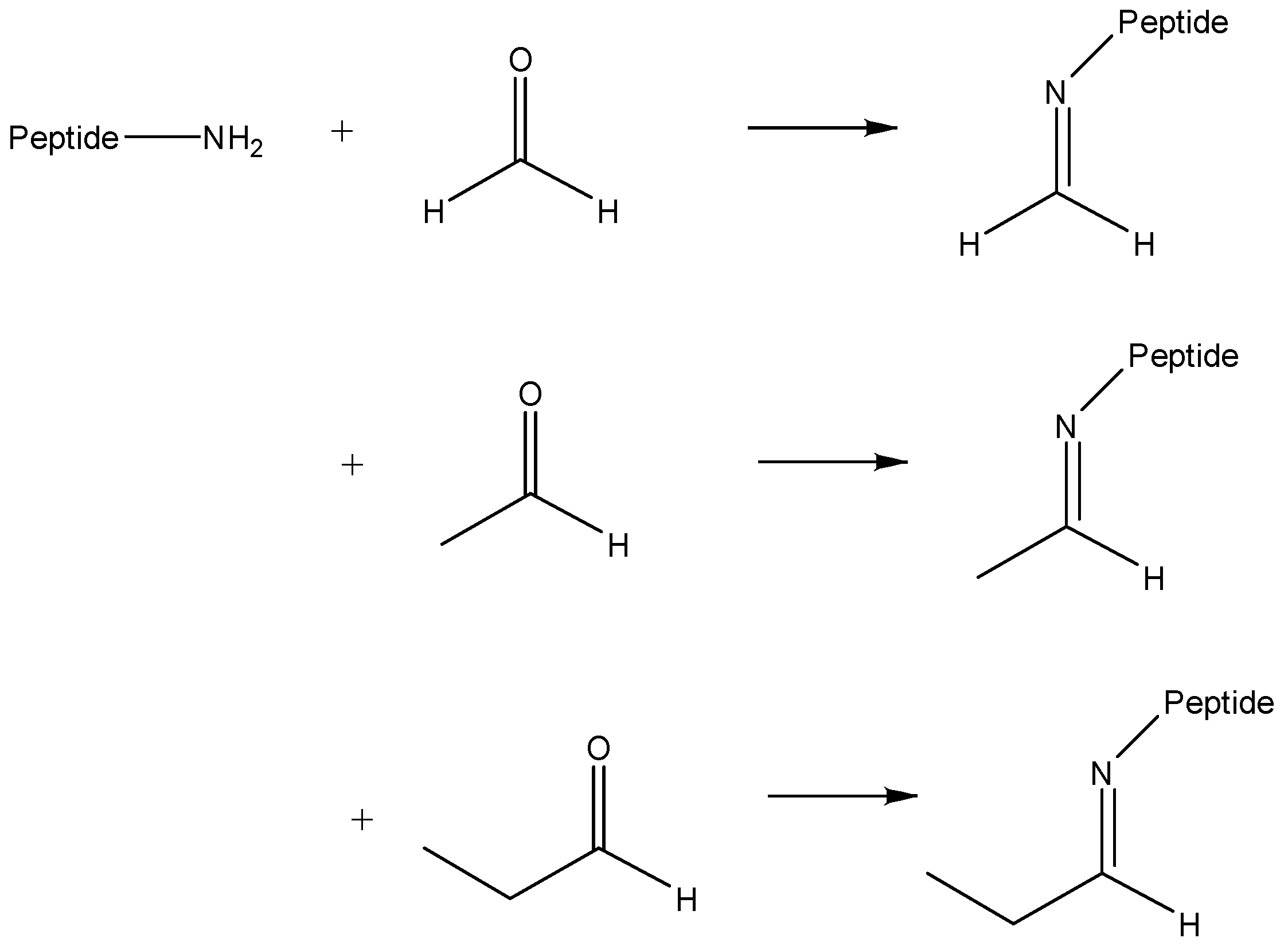 Molecules 26 06481 g002