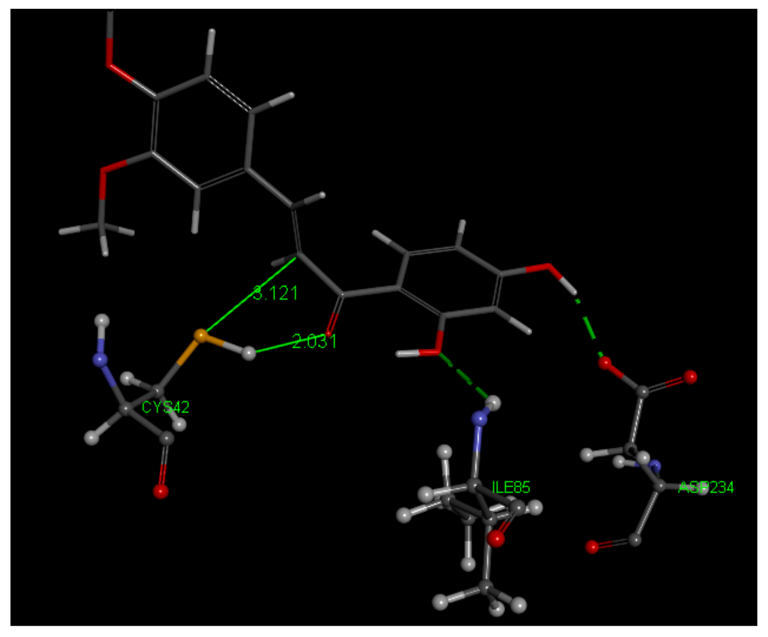 Molecules 26 06511 g021 Molecules 26 06511 g021