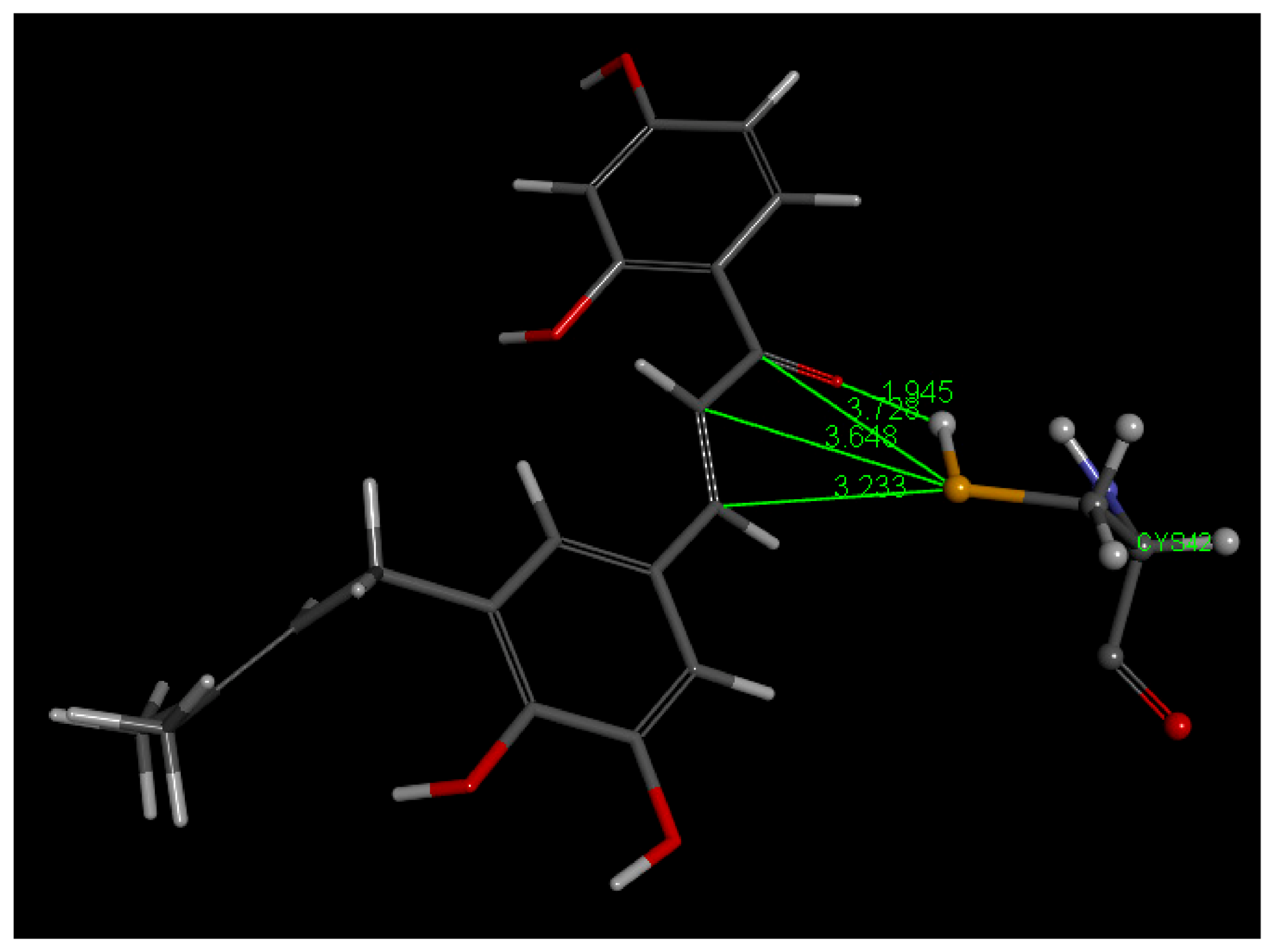 Molecules 26 06511 g026 Molecules 26 06511 g026