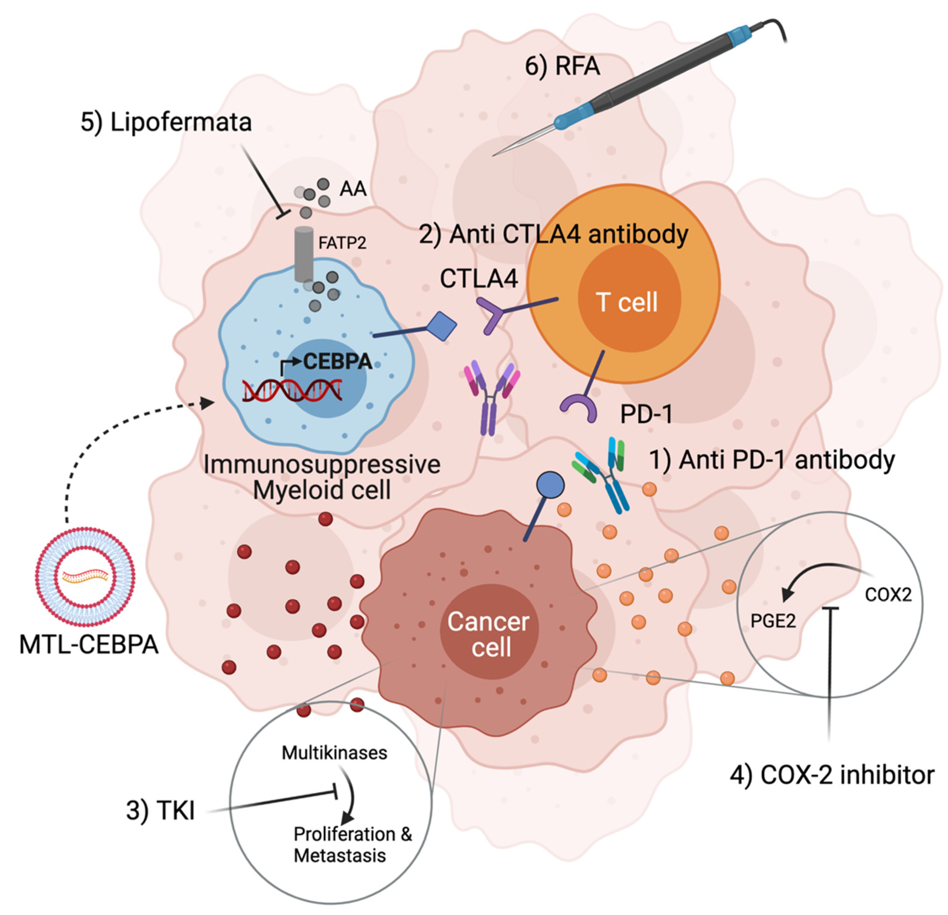 Molecules 26 06530 g002 Molecules 26 06530 g002