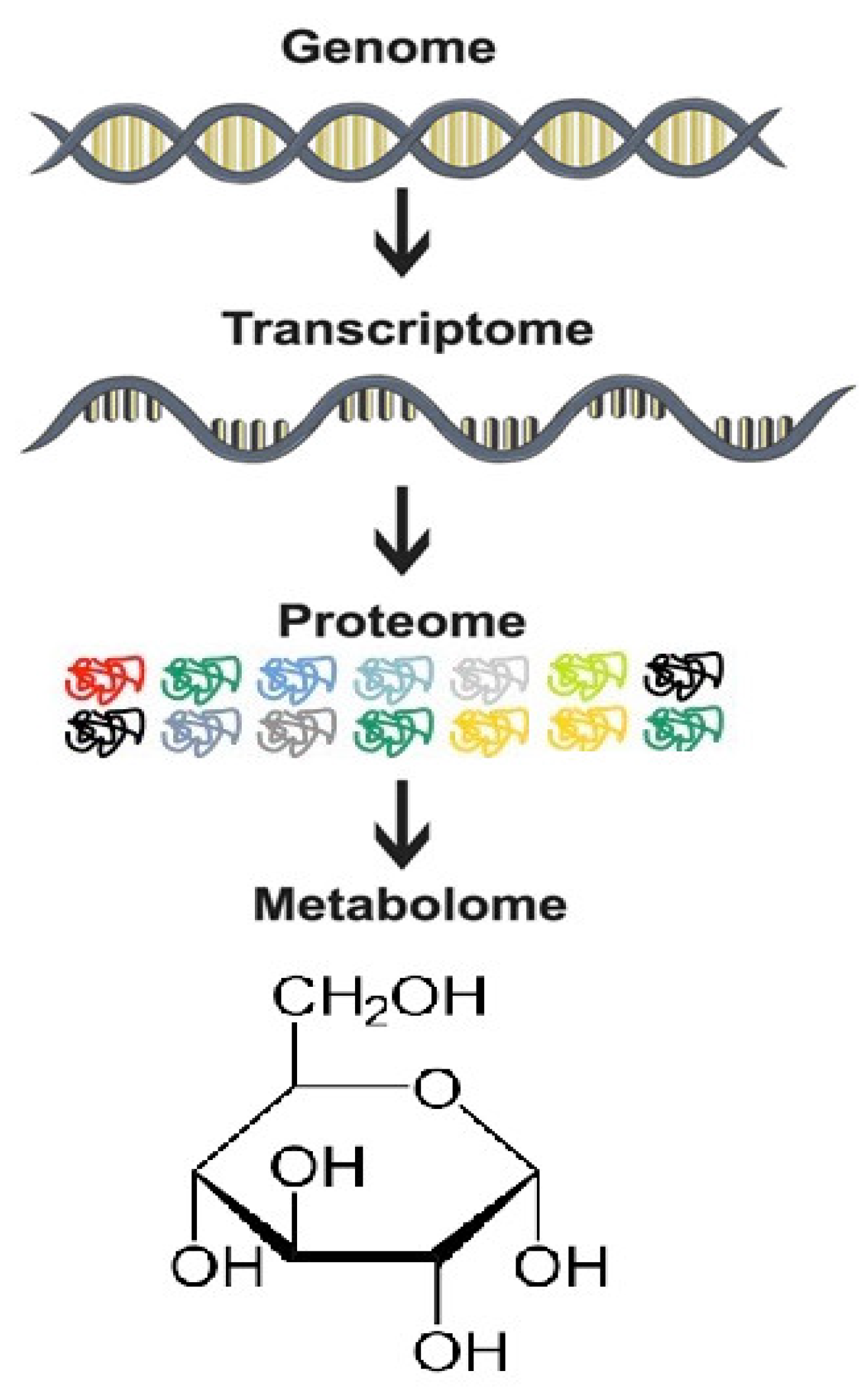 Molecules 26 06541 g001 Molecules 26 06541 g001