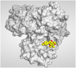 Molecules 26 06559 i008