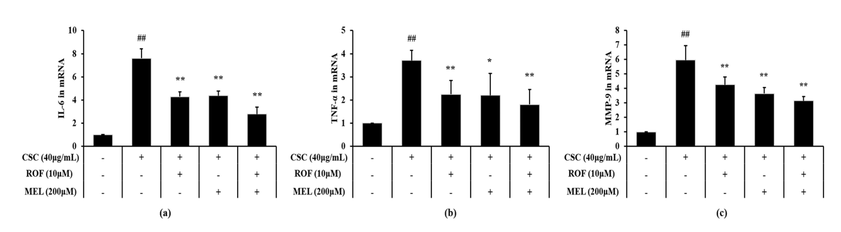 Molecules 26 06588 g006