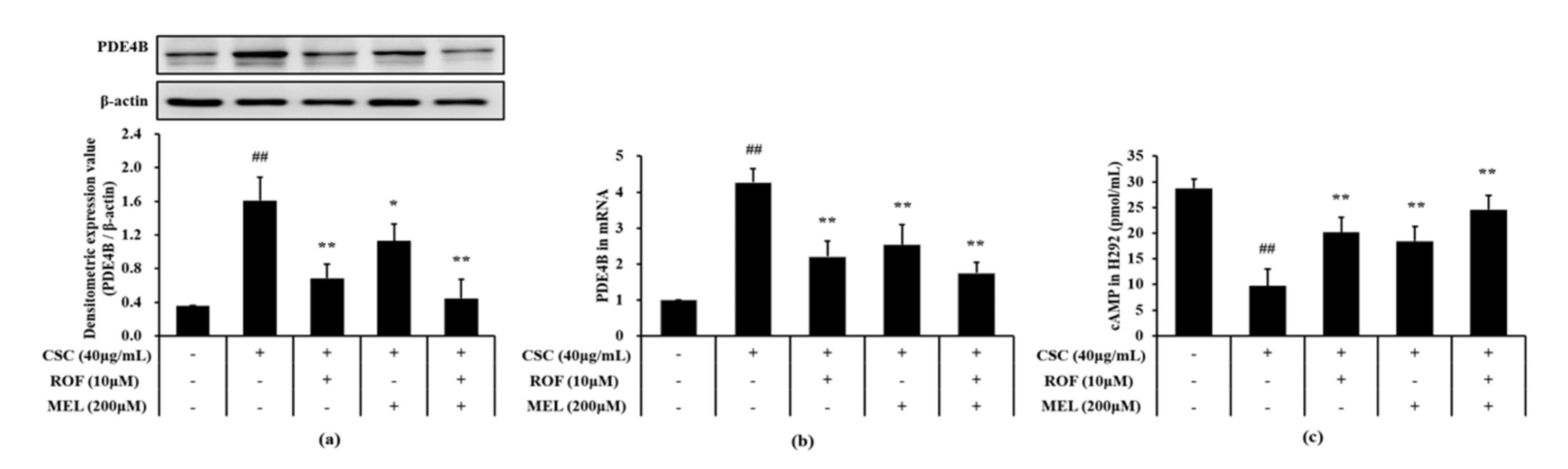 Molecules 26 06588 g007