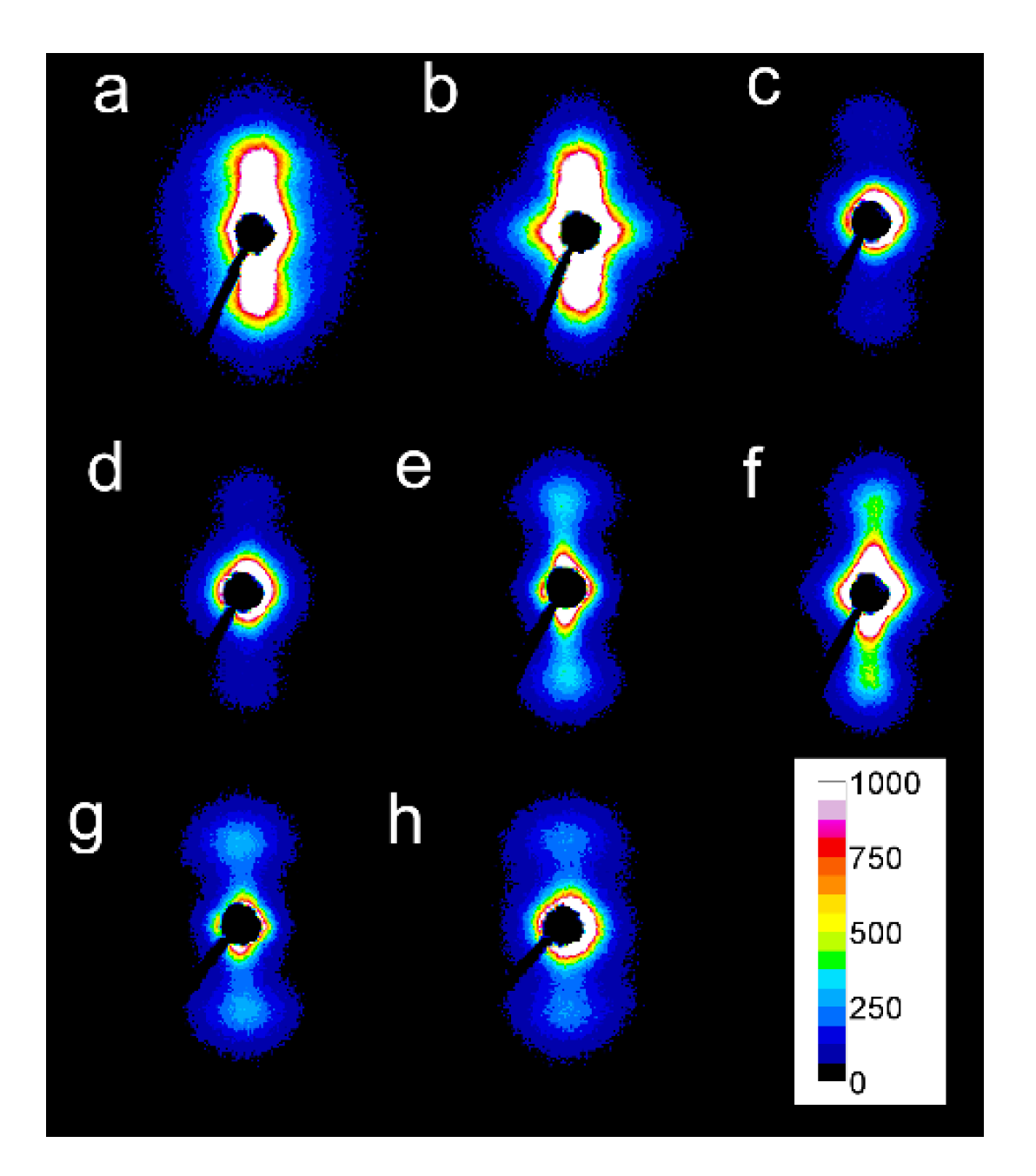 Molecules 26 06601 g008