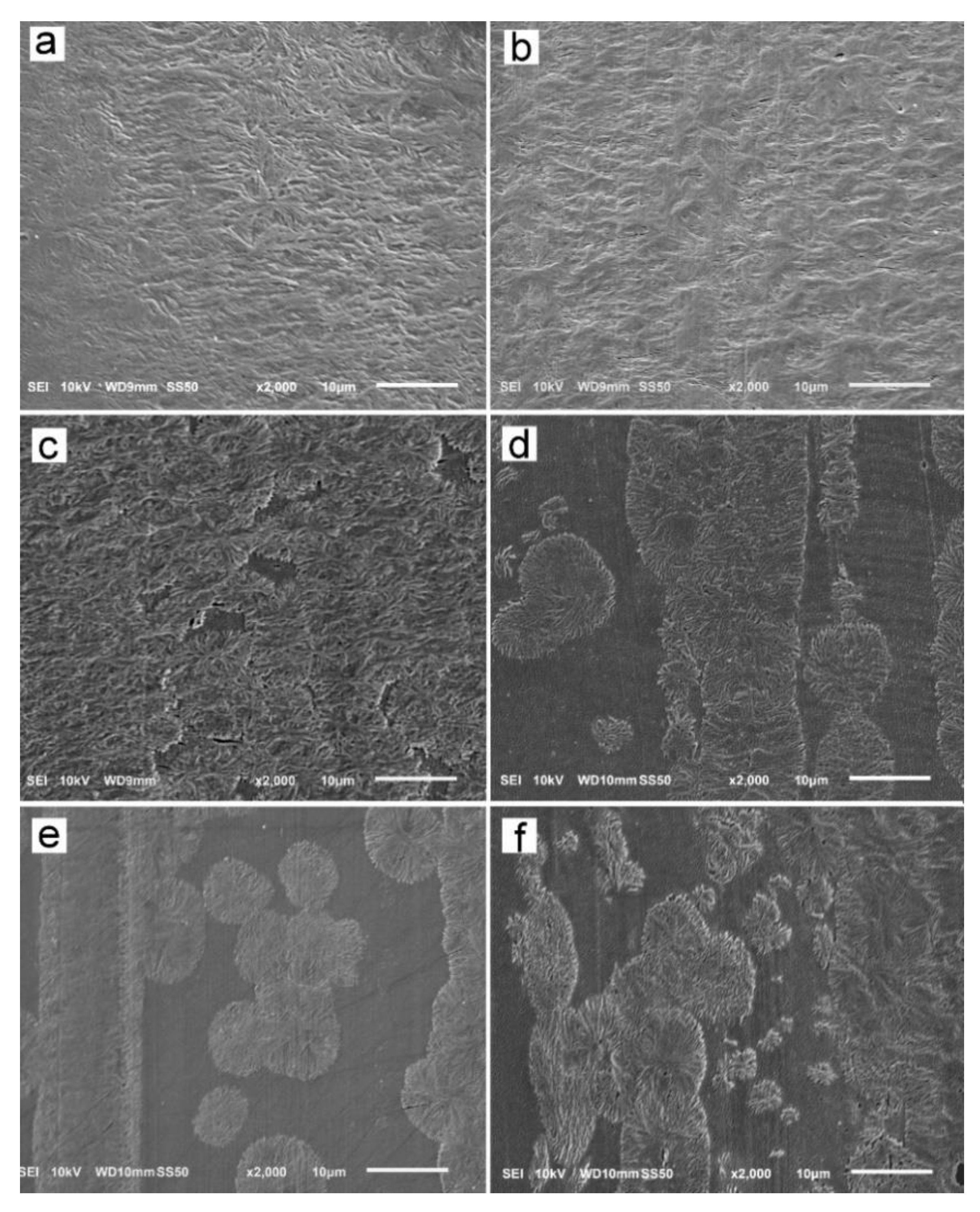 Molecules 26 06601 g010