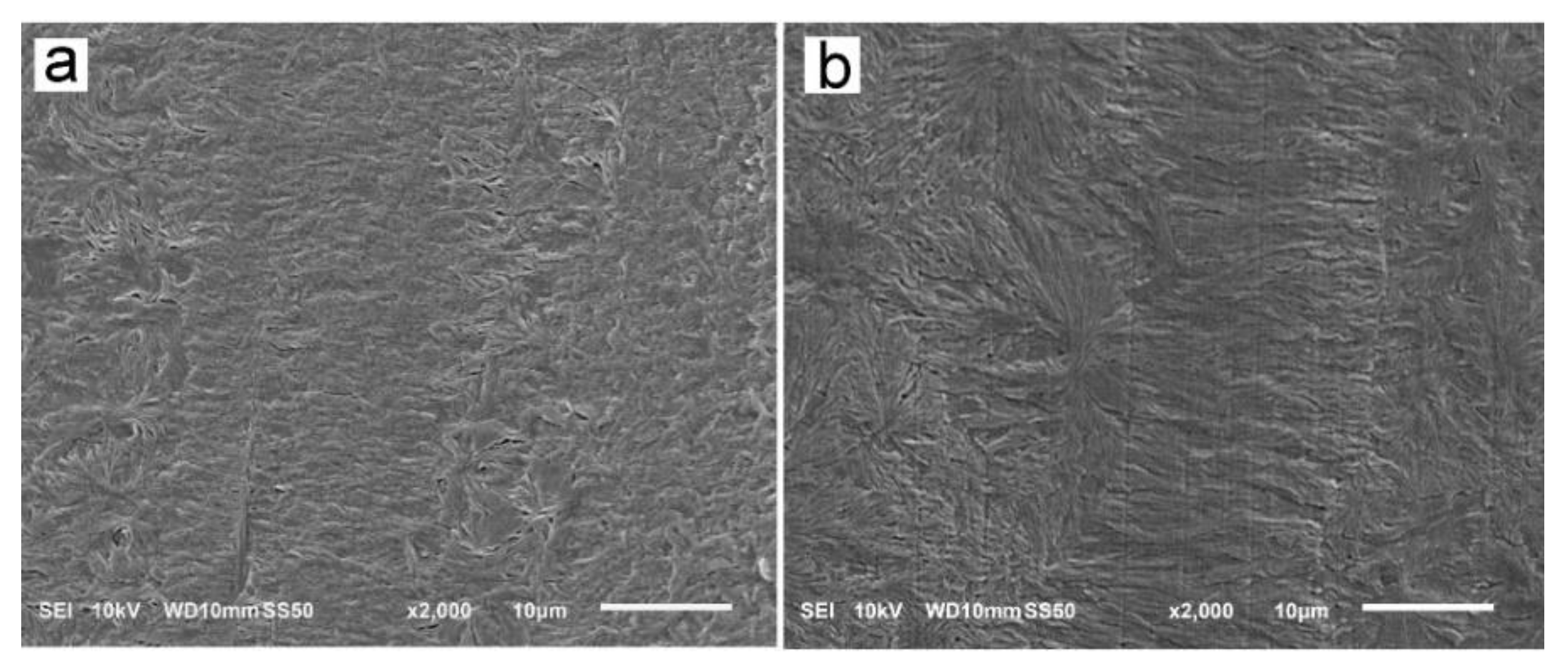 Molecules 26 06601 g011