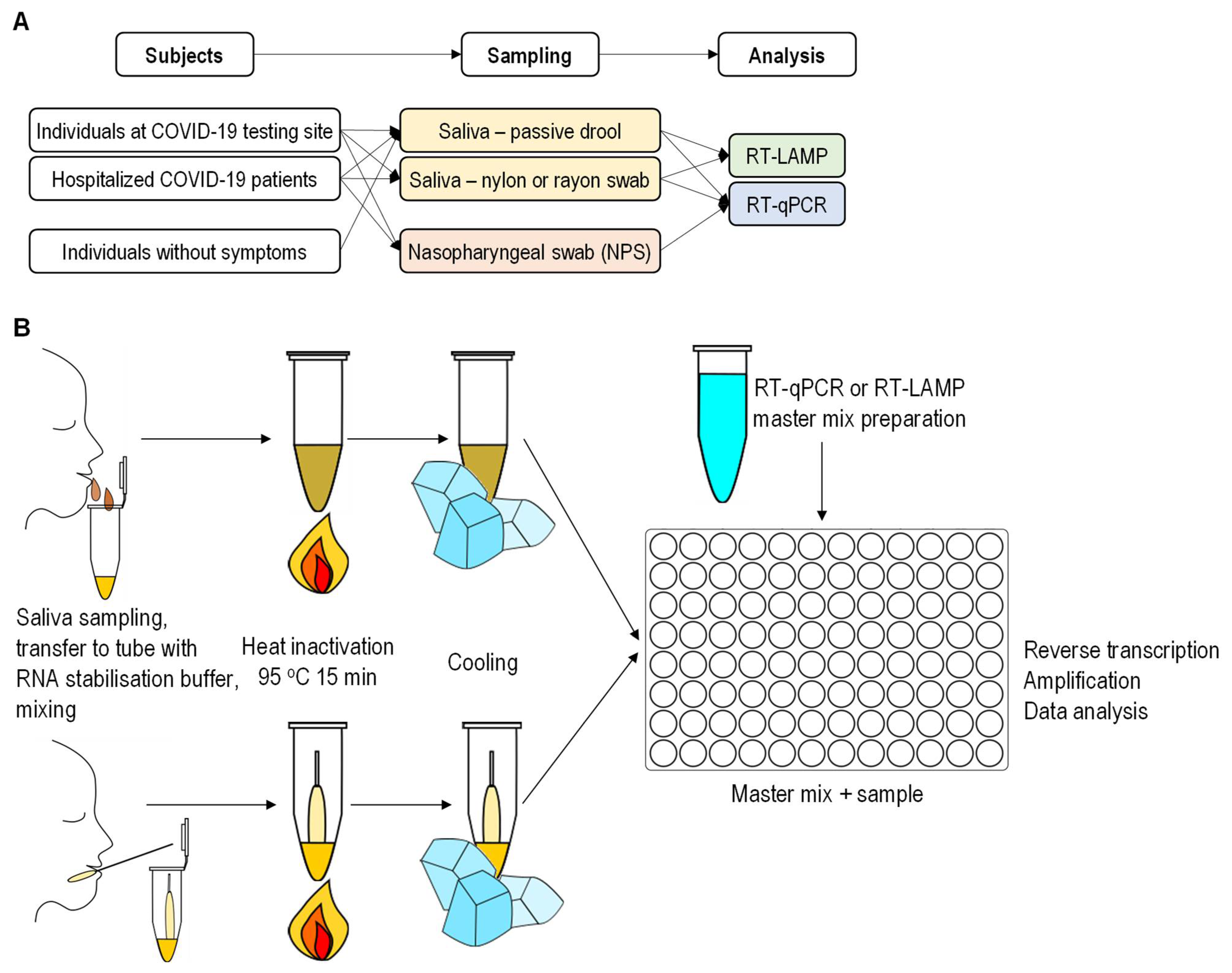 Molecules | Free Full-Text | Robust Saliva-Based RNA Extraction-Free One- Step Nucleic Acid Amplification Test for Mass SARS-CoV-2 Monitoring