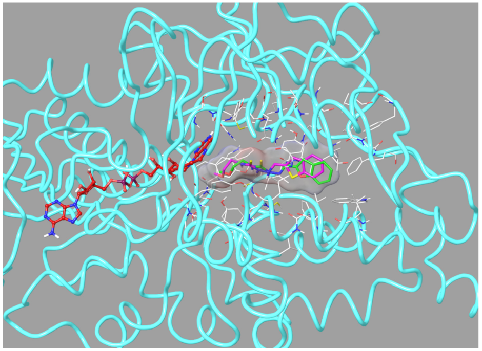 Molecules 26 06640 g006