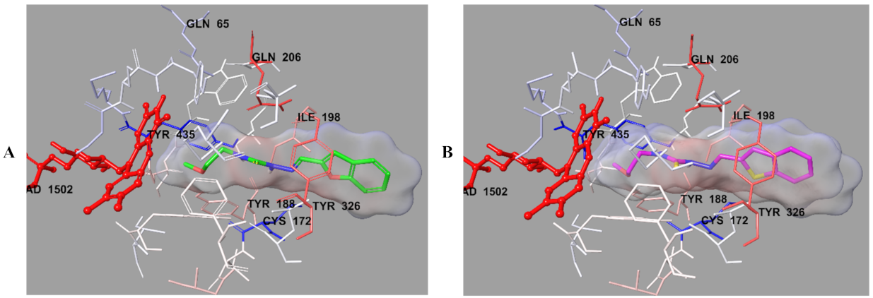 Molecules 26 06640 g009