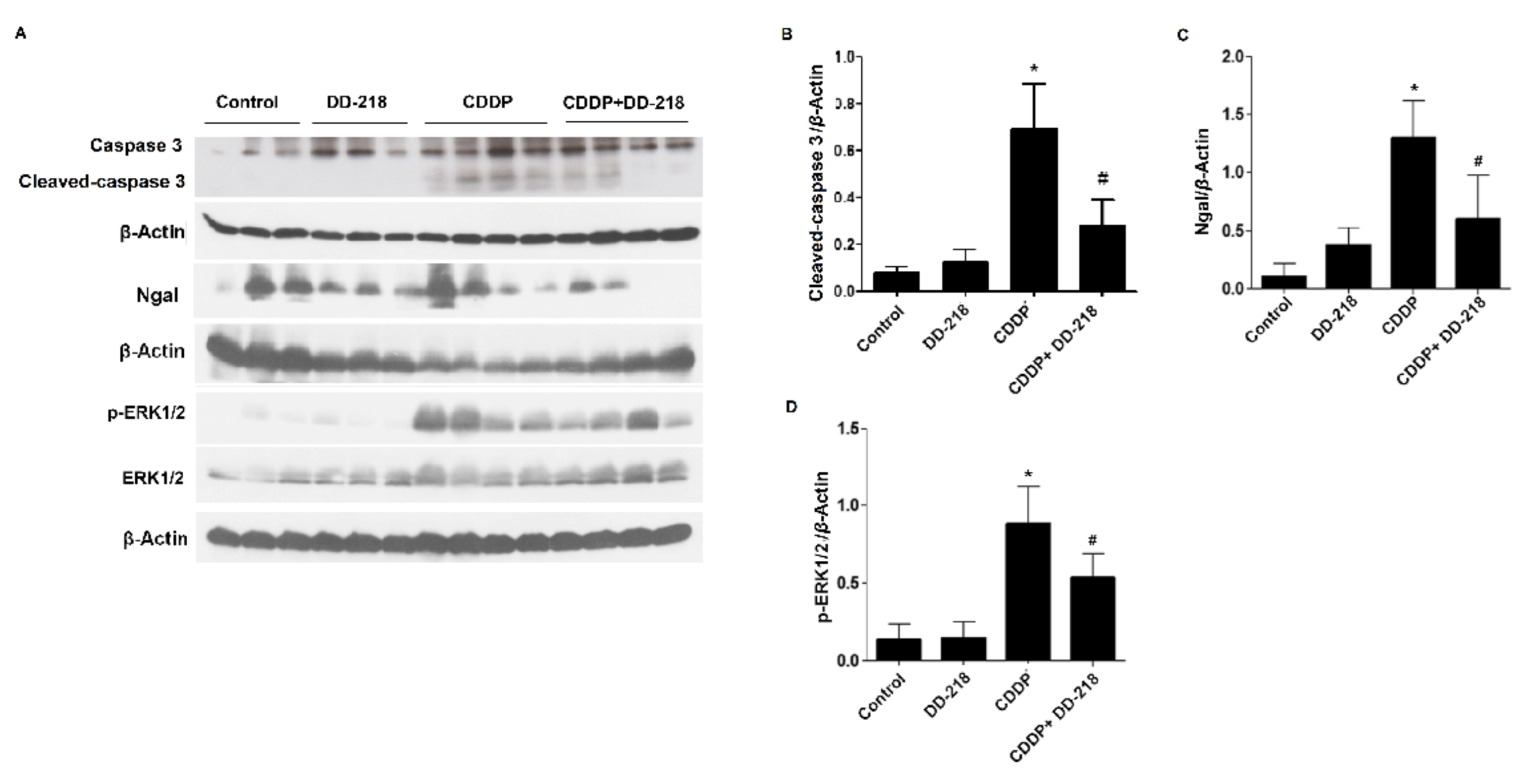 Molecules 26 06642 g008