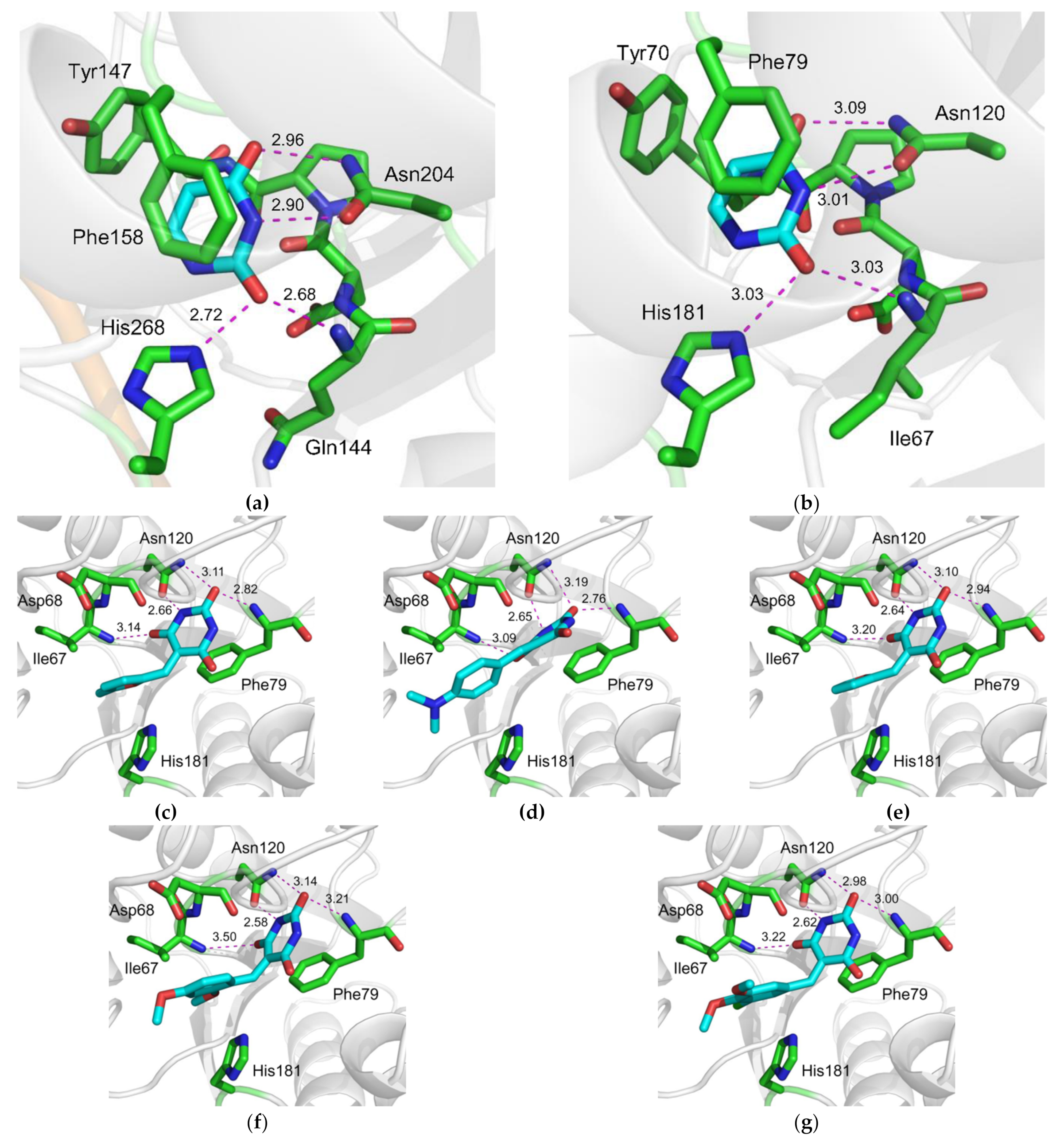 Molecules 26 06668 g006 Molecules 26 06668 g006