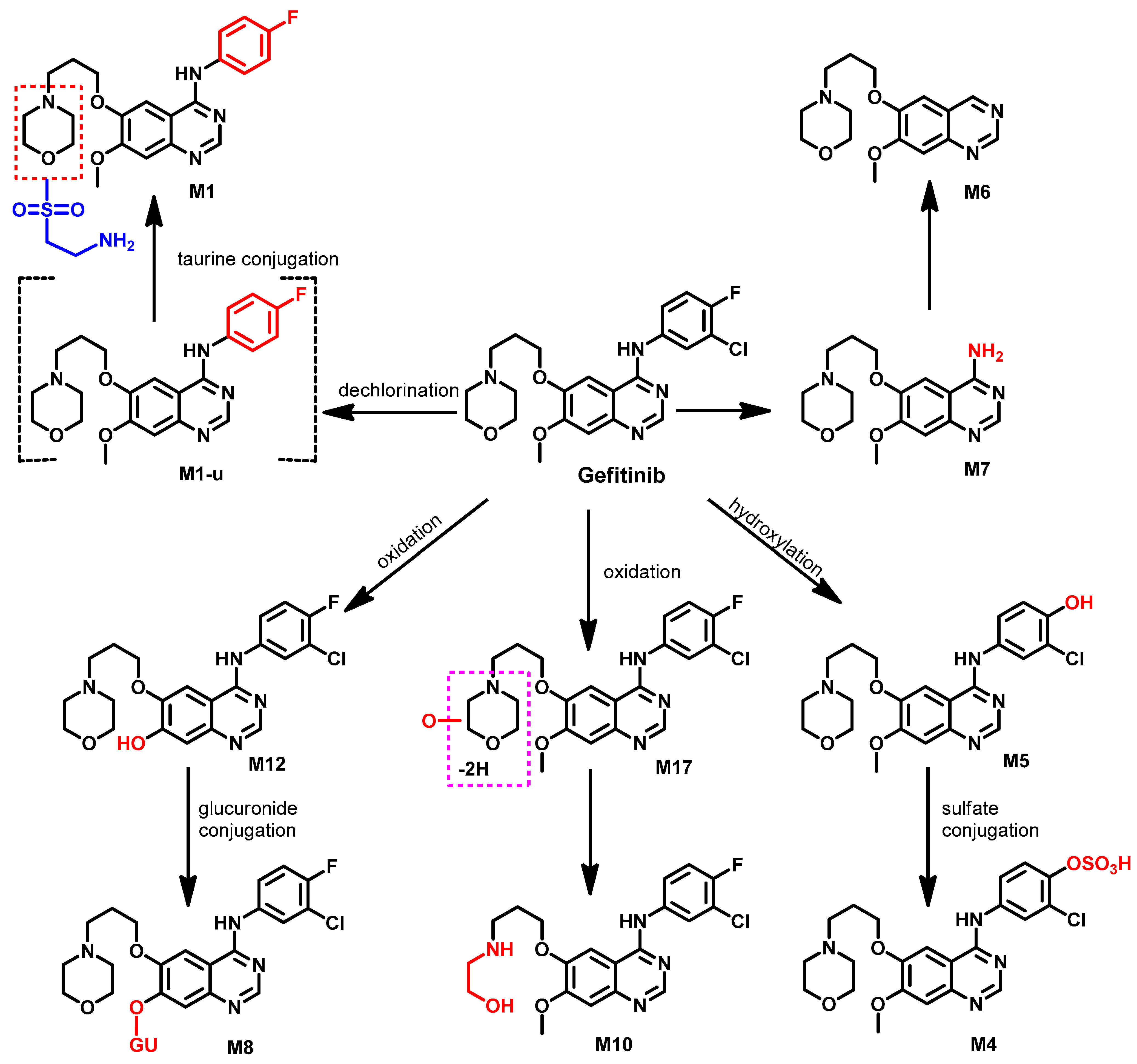 Molecules 26 06677 g035