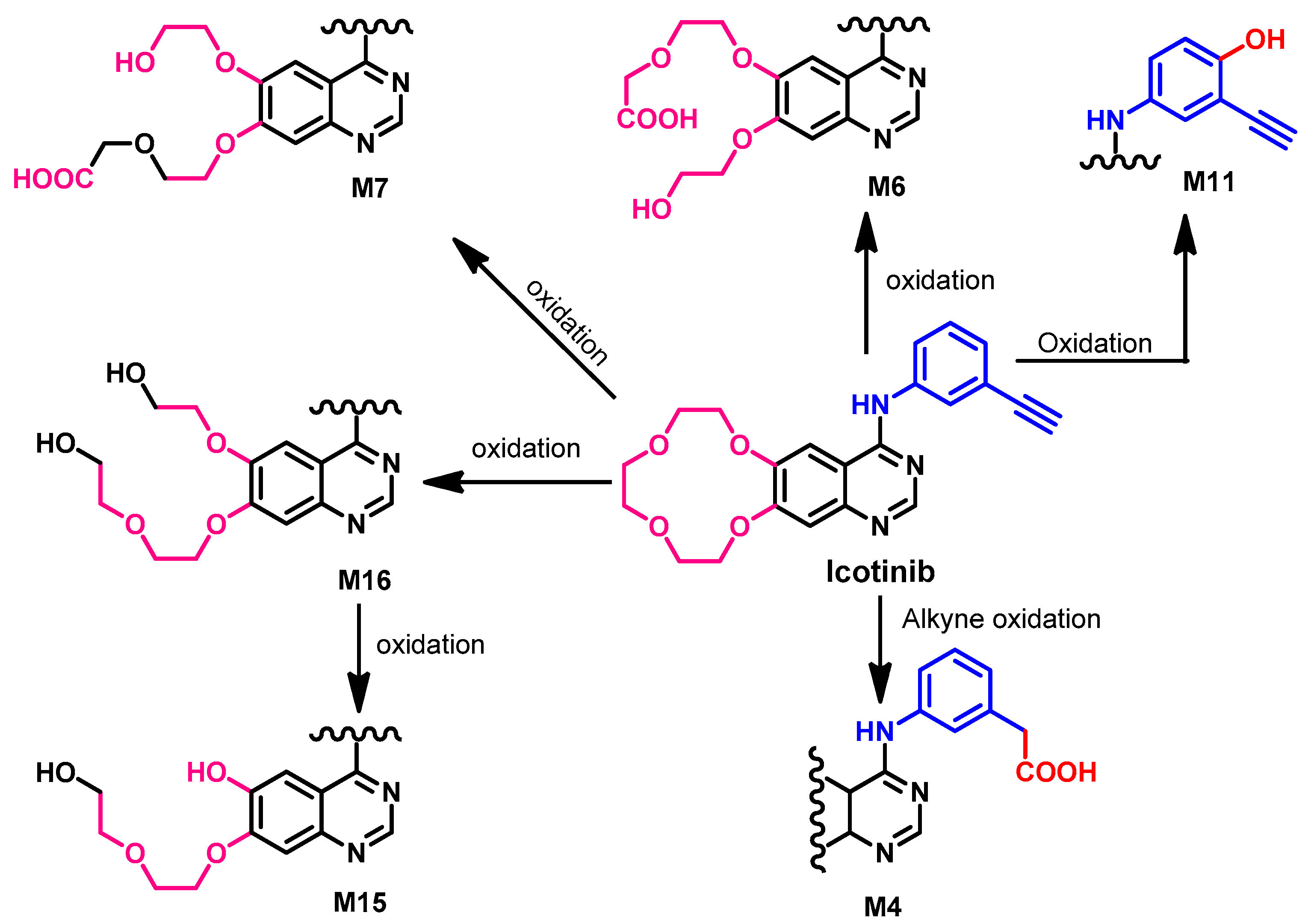 Molecules 26 06677 g038