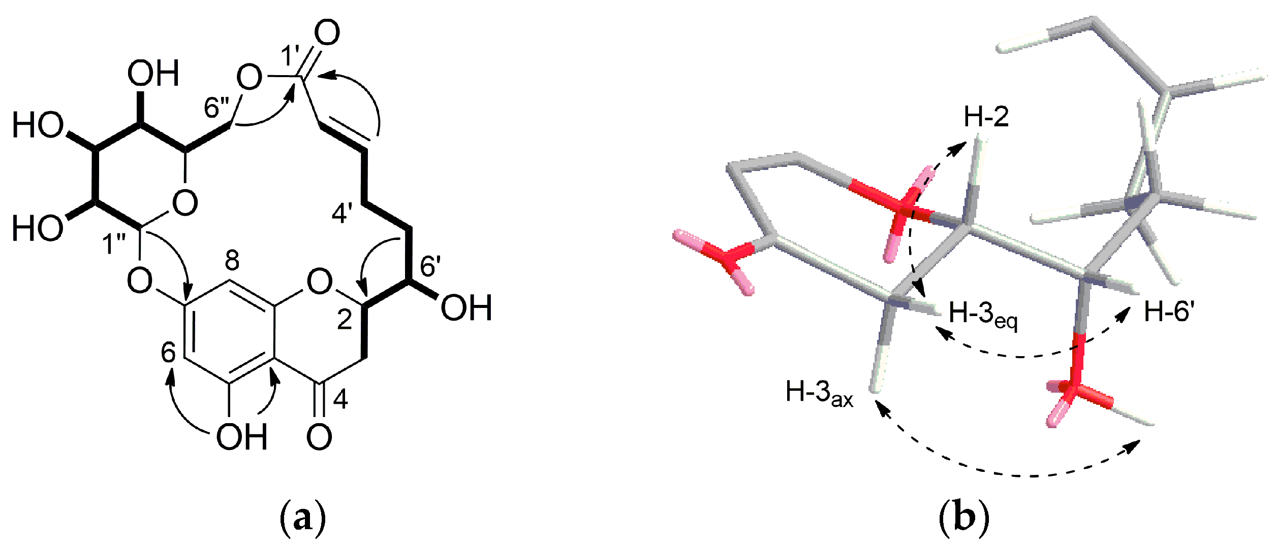 Molecules 26 06705 g002