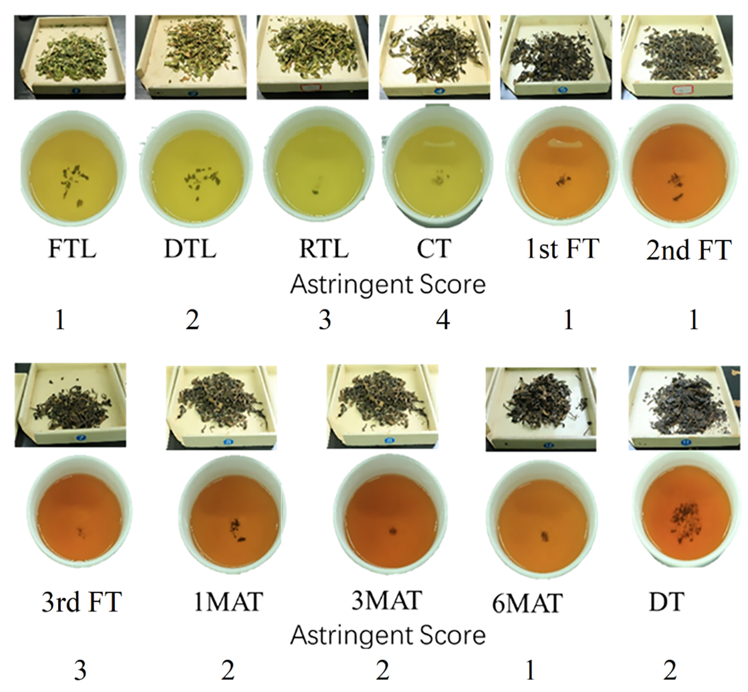 Molecules 26 06718 g001