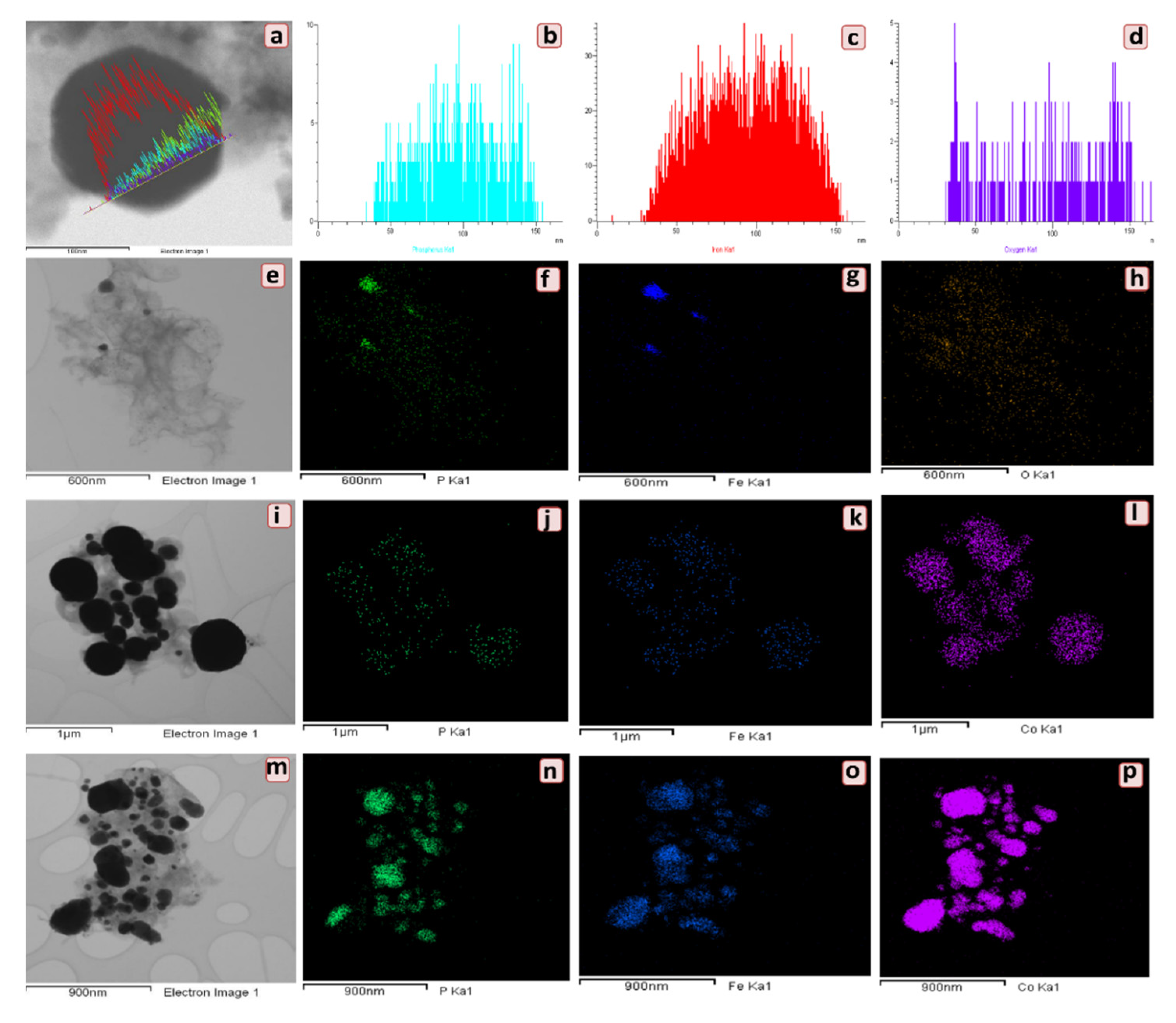 Molecules 26 06732 g005 Molecules 26 06732 g005