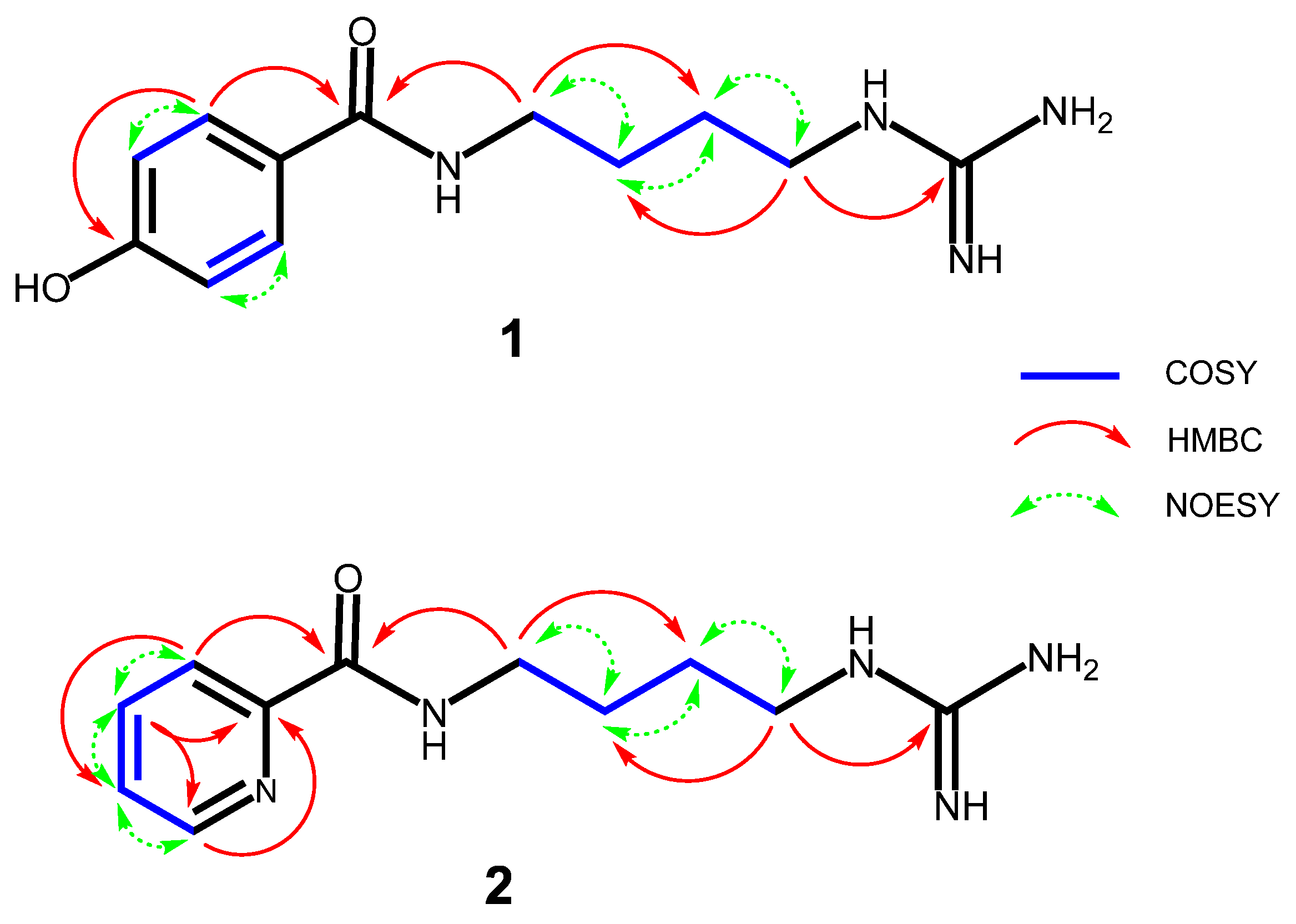 Молекула 26. Гуанидин Ацетат. ЯМР HSQC. NMR HMBC. Гуанидин в ДНК.