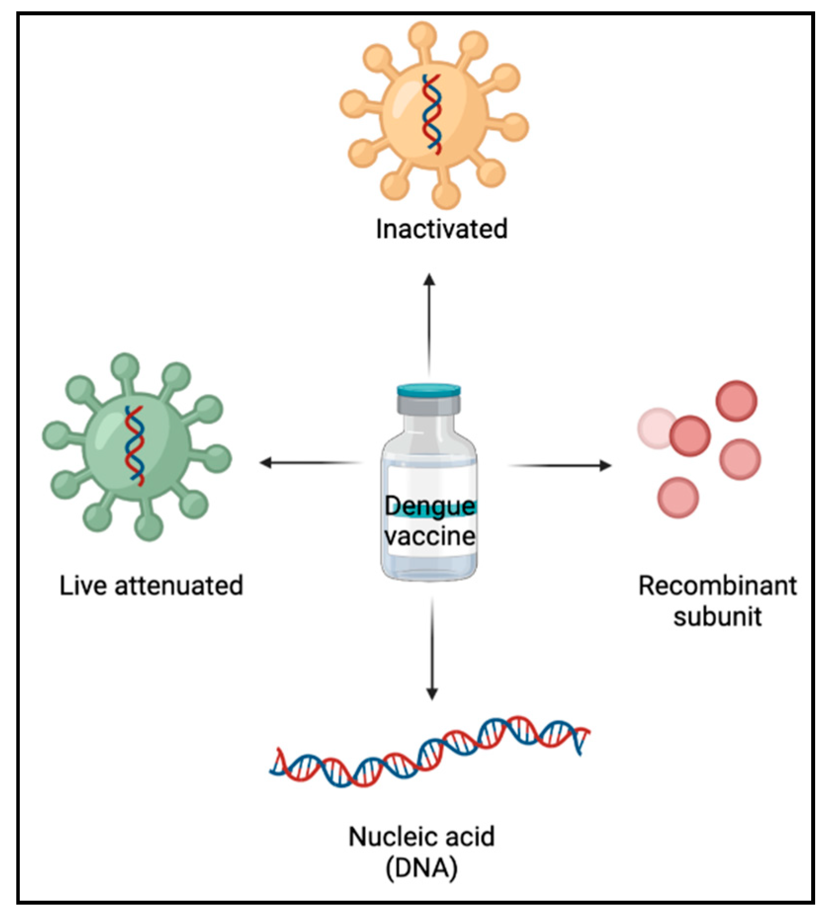 research on vaccines for dengue