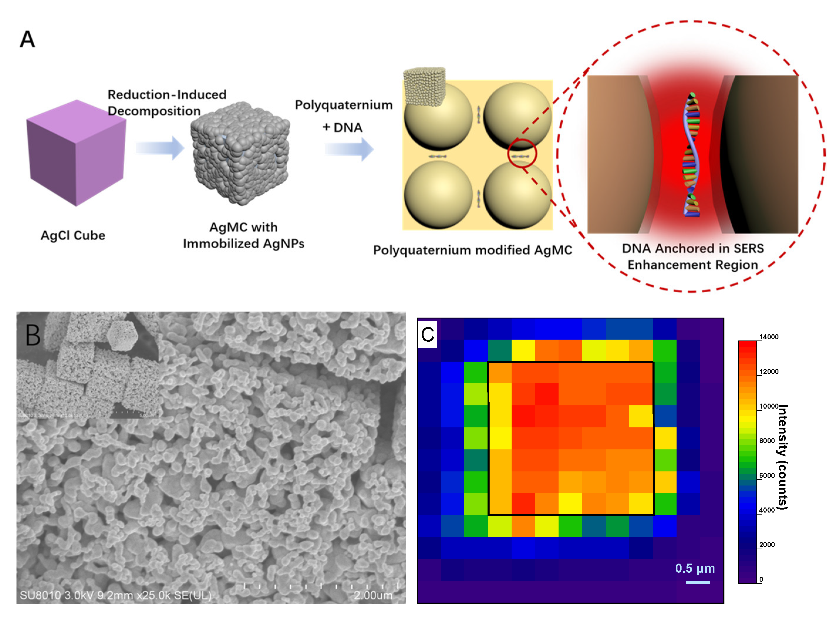 Molecules 26 06790 g001