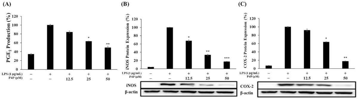 Molecules 26 06841 g004