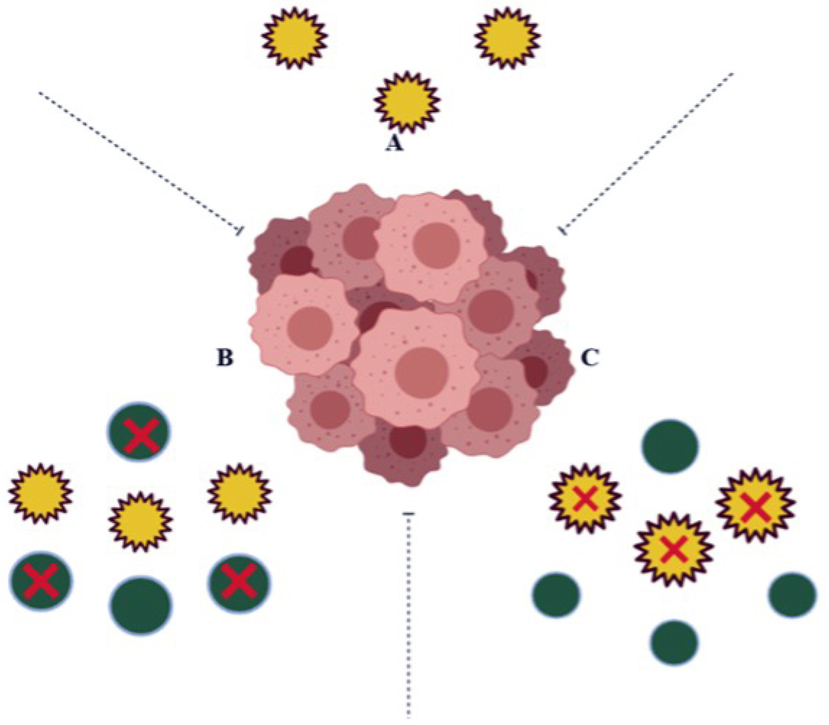 Molecules 26 06863 g002