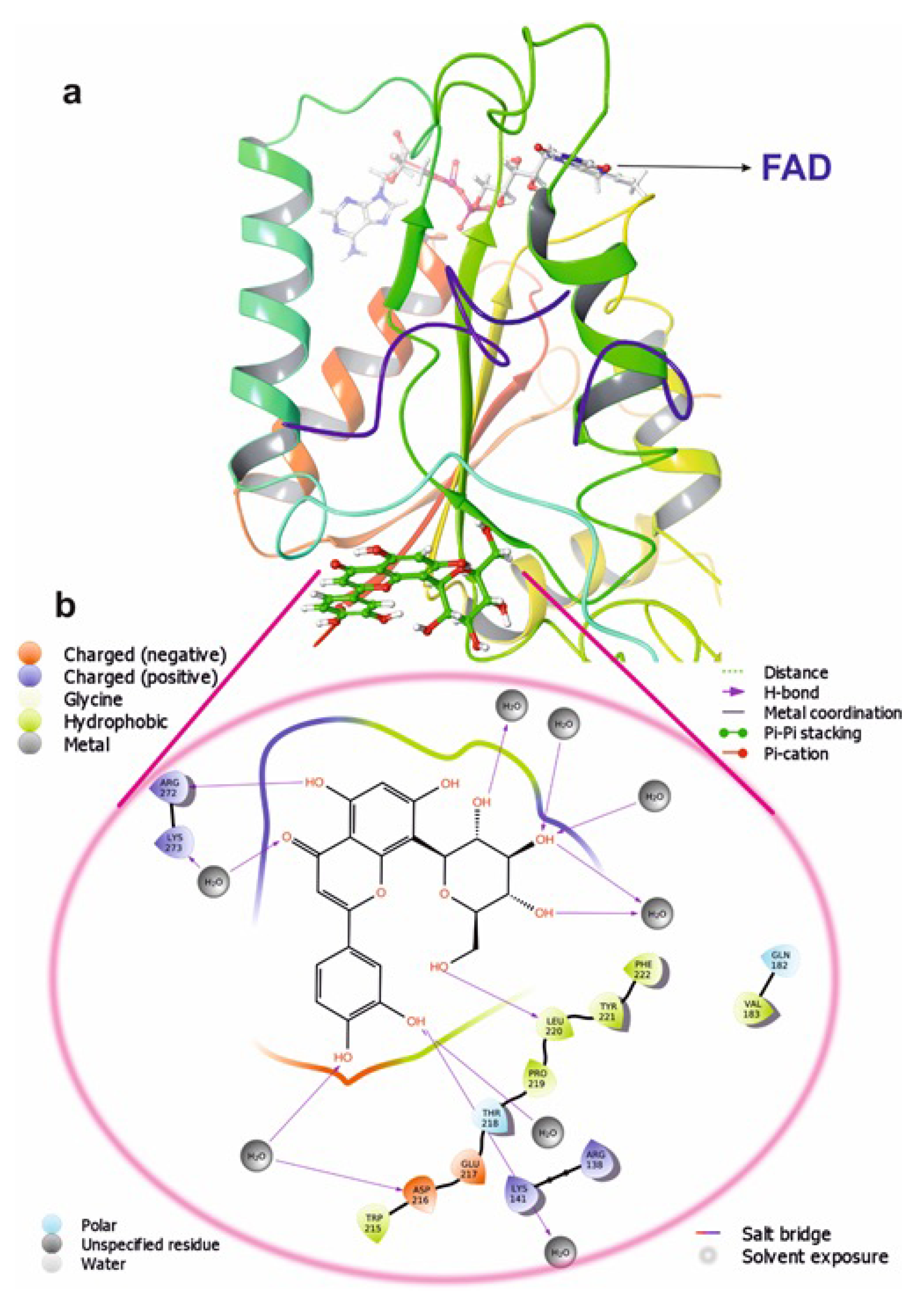 Molecules 26 06863 g010
