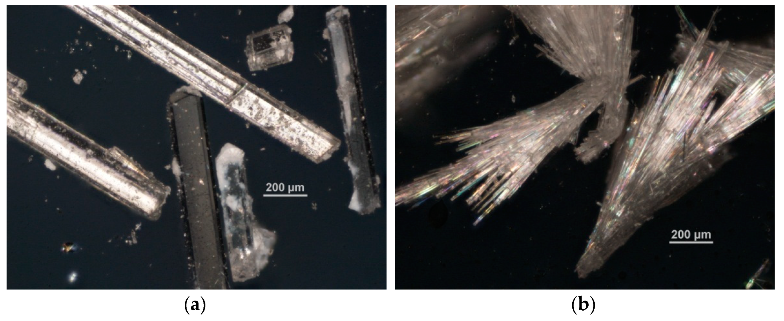 Molecules 26 06873 g003