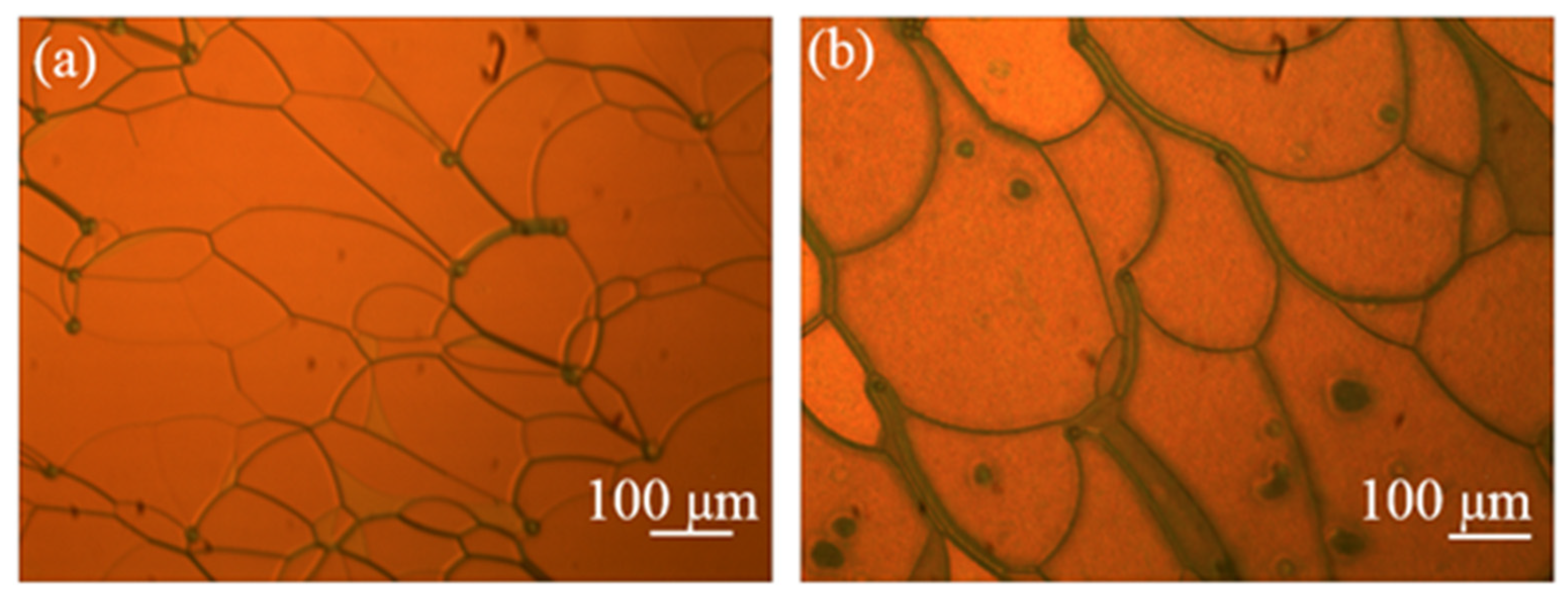 Molecules 26 06889 g002