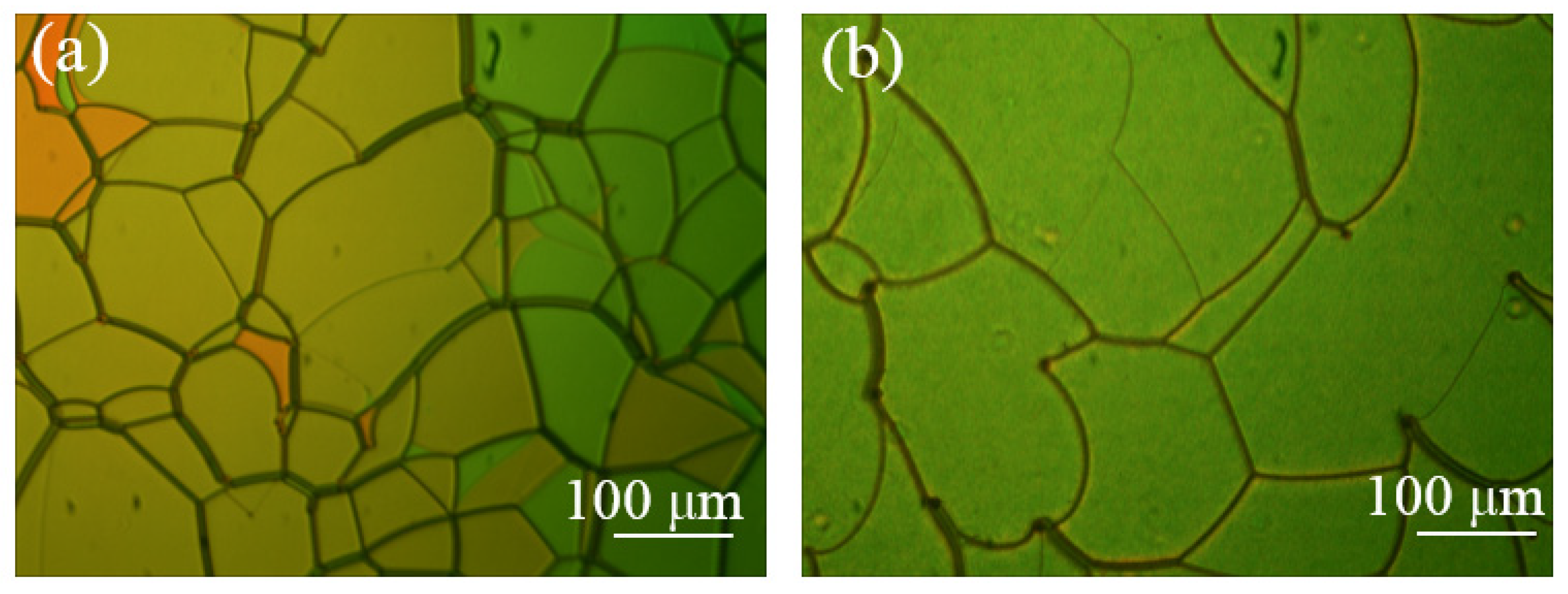 Molecules 26 06889 g003