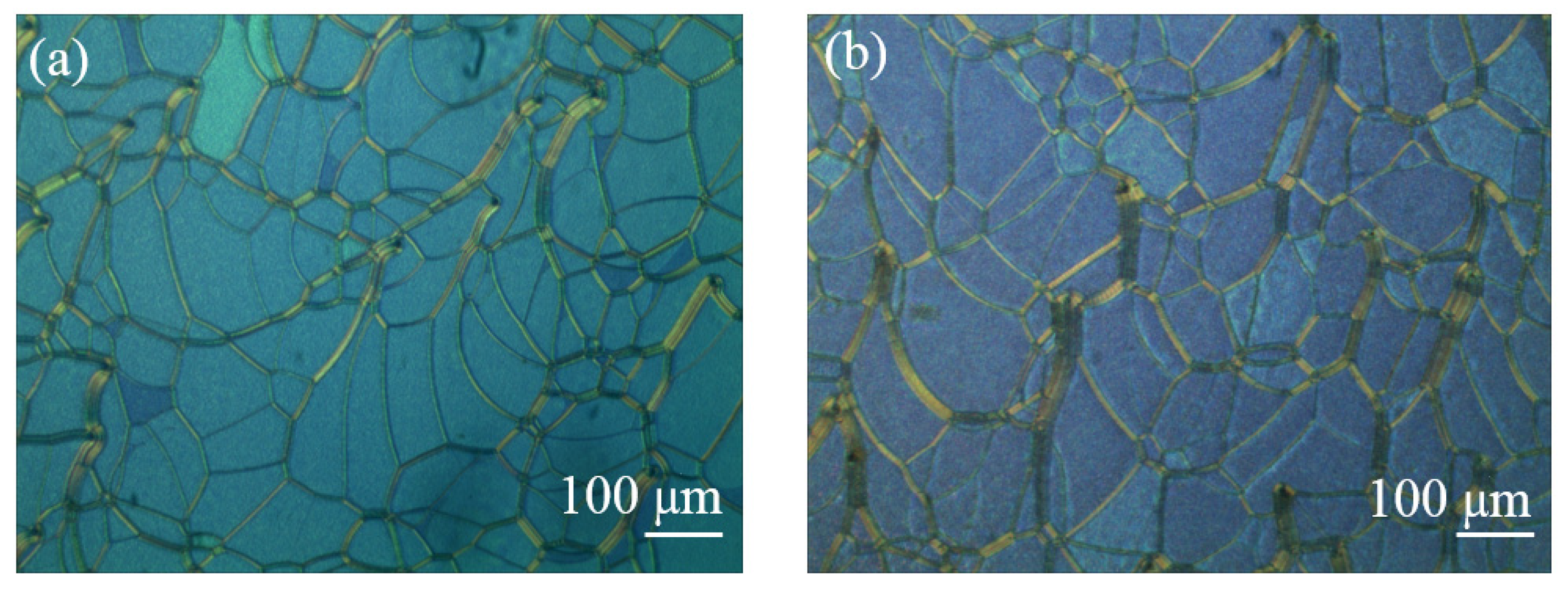 Molecules 26 06889 g004