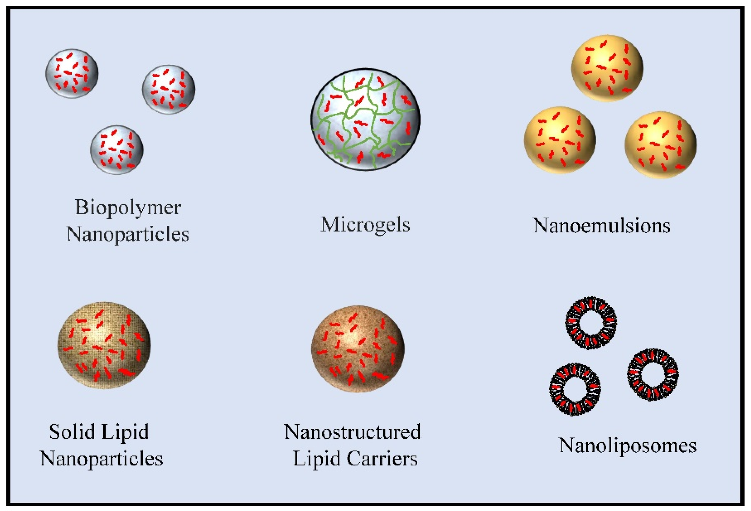 Molecules 26 06895 g002