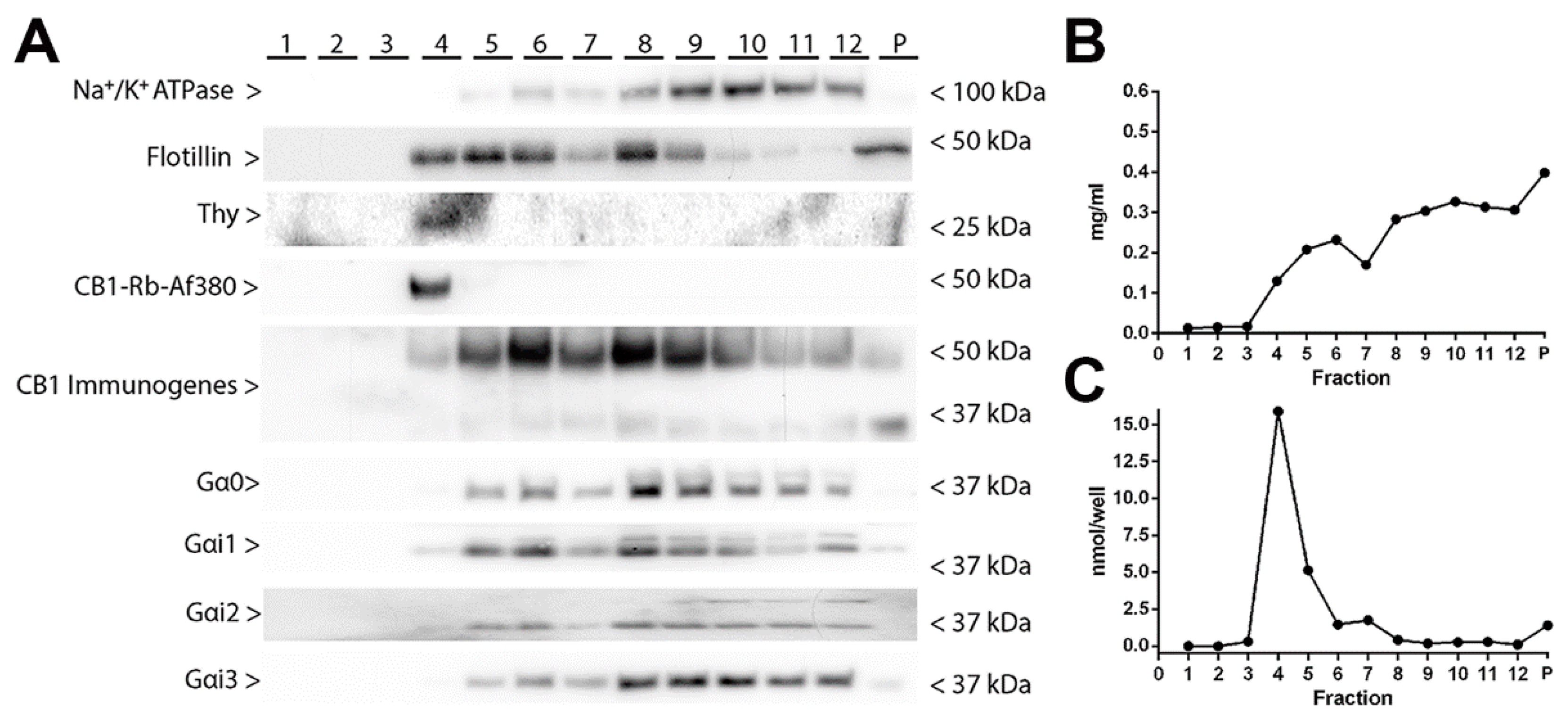 Molecules 26 06897 g003 Molecules 26 06897 g003