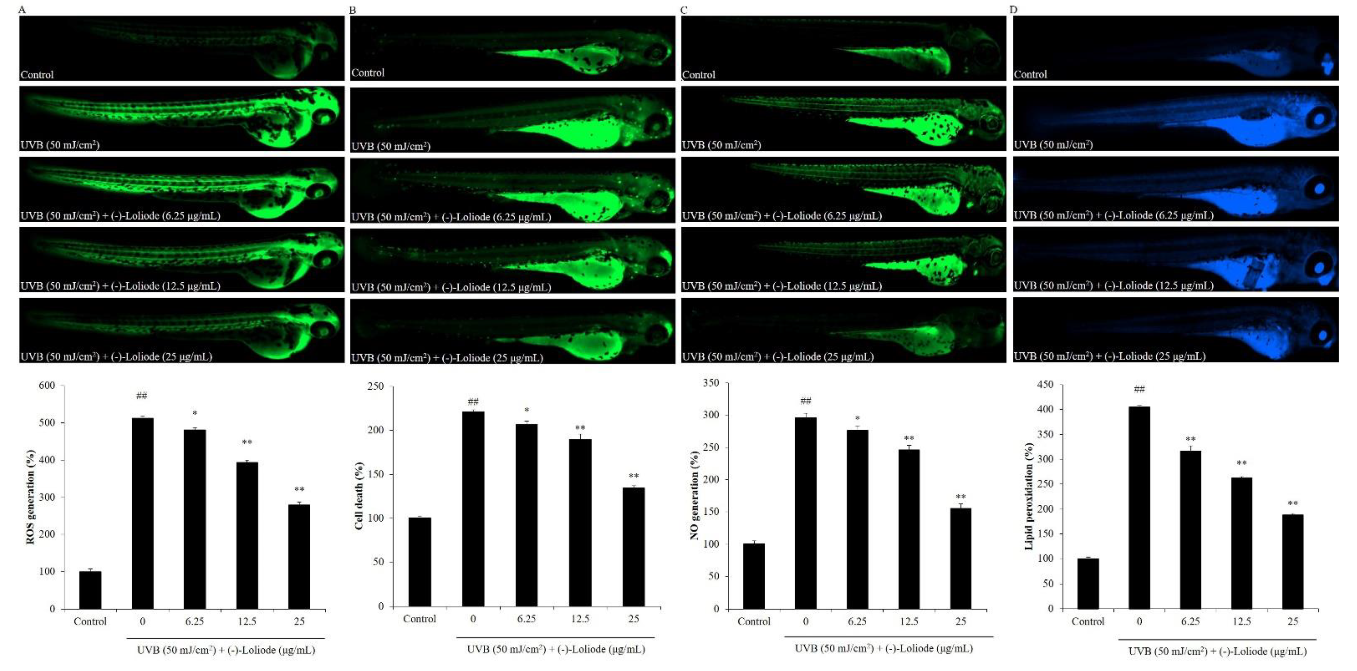 Molecules 26 06898 g006