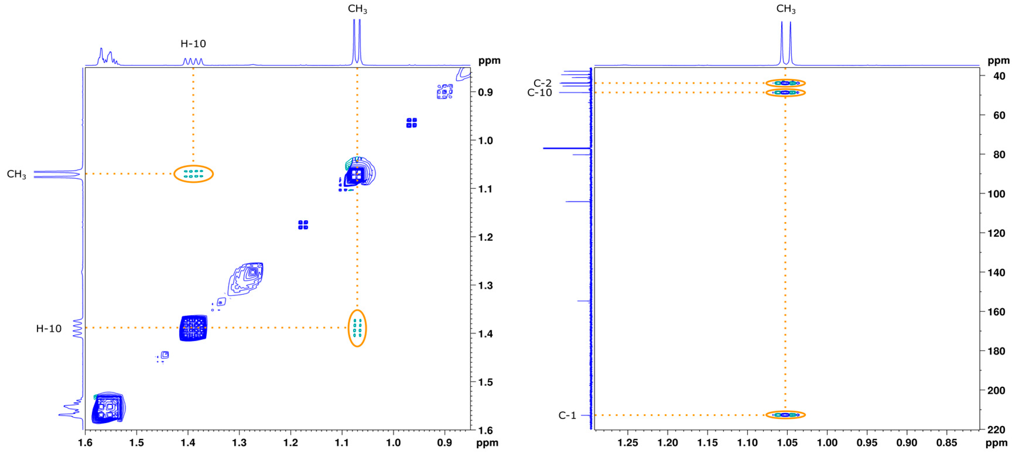 Molecules 26 06916 g001