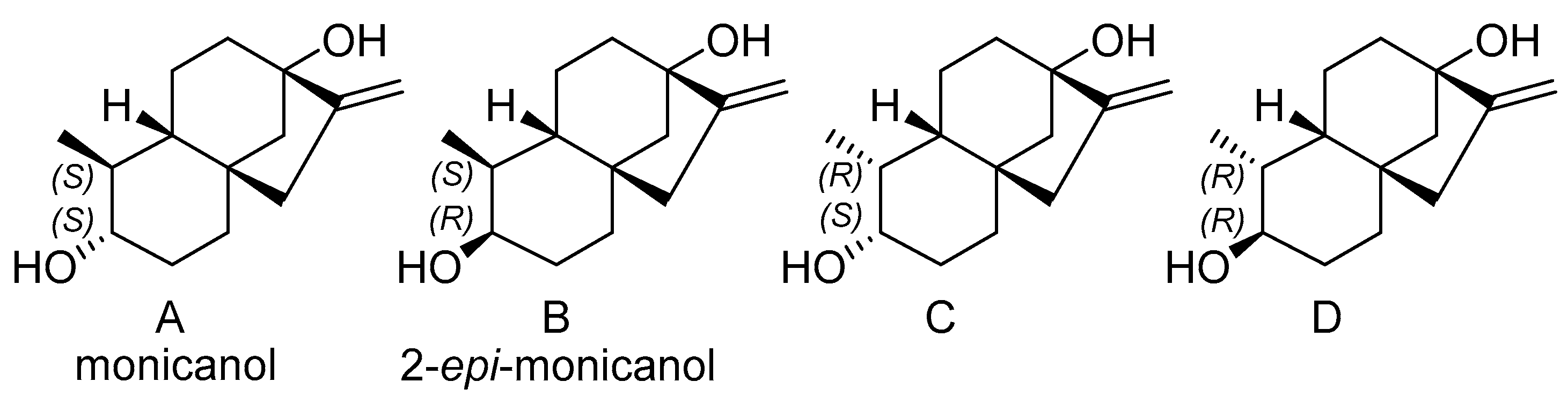 Molecules 26 06916 g003