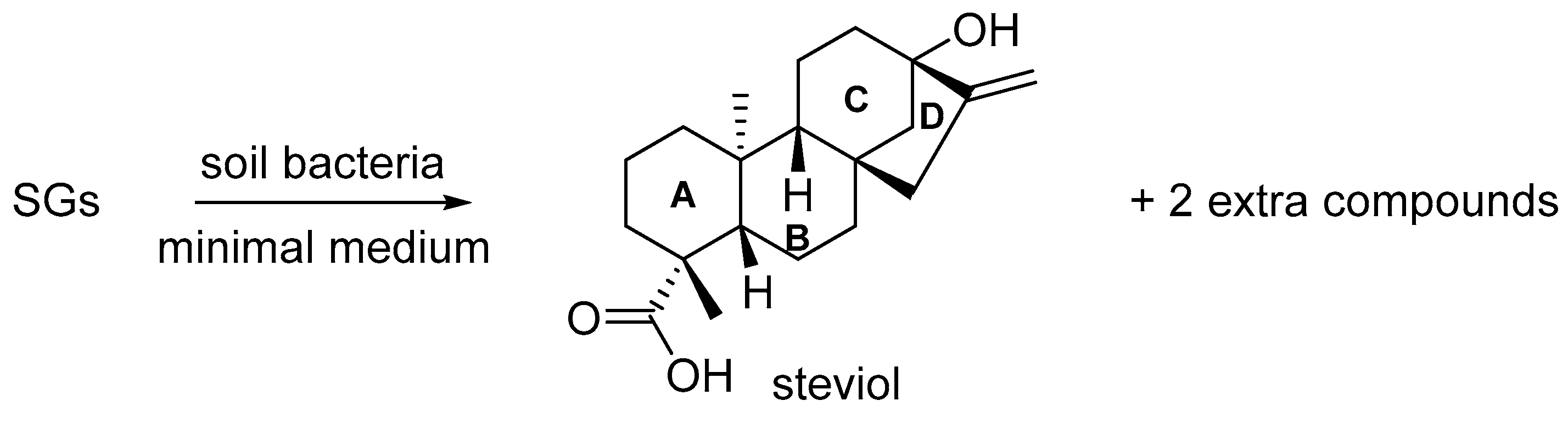 Molecules 26 06916 sch001