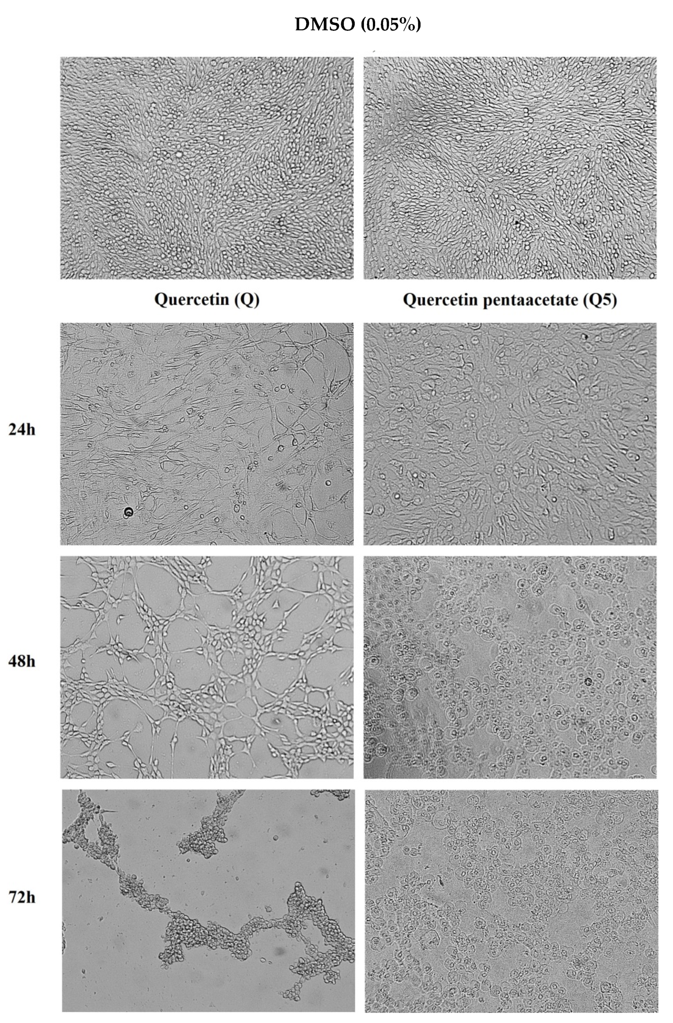 Molecules 26 06923 g005