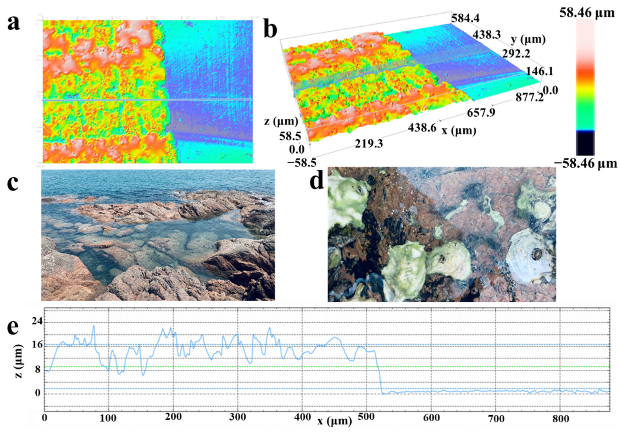Molecules 26 06947 g002