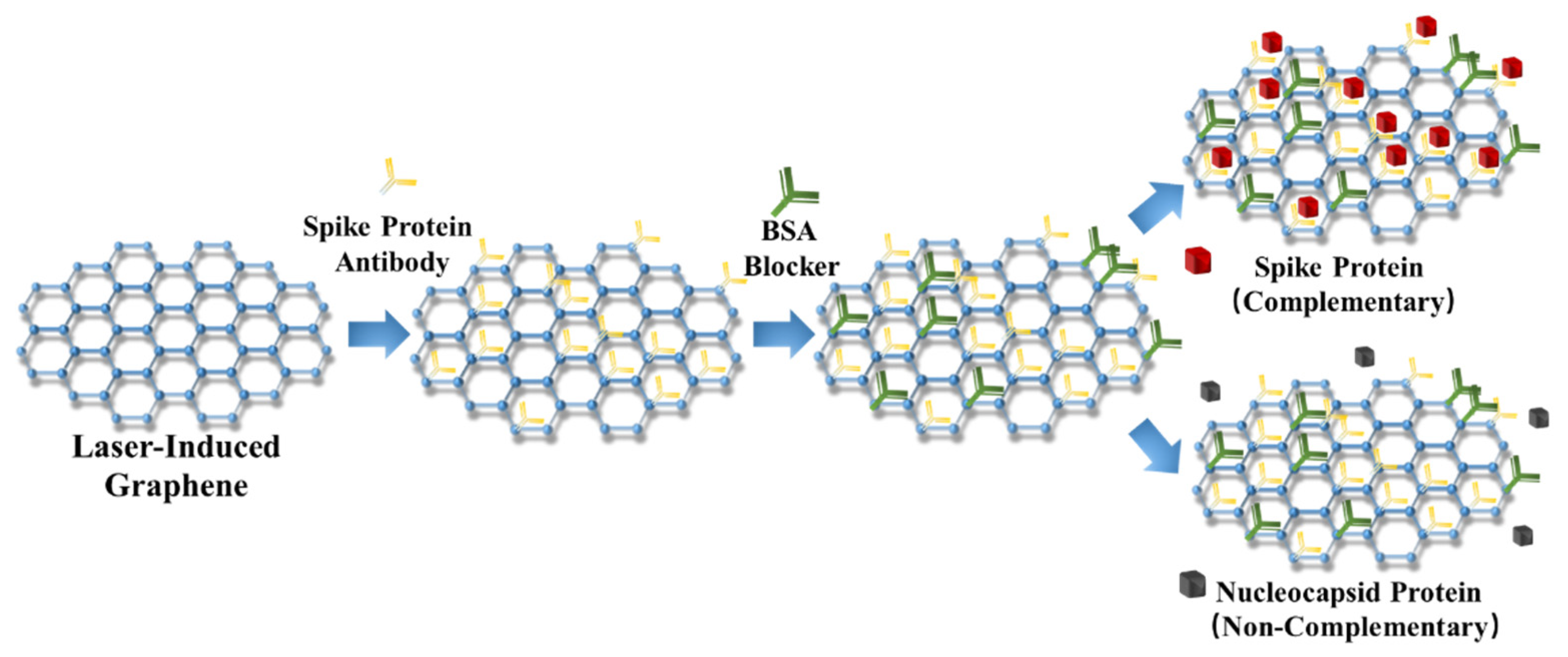 Molecules 26 06947 g004