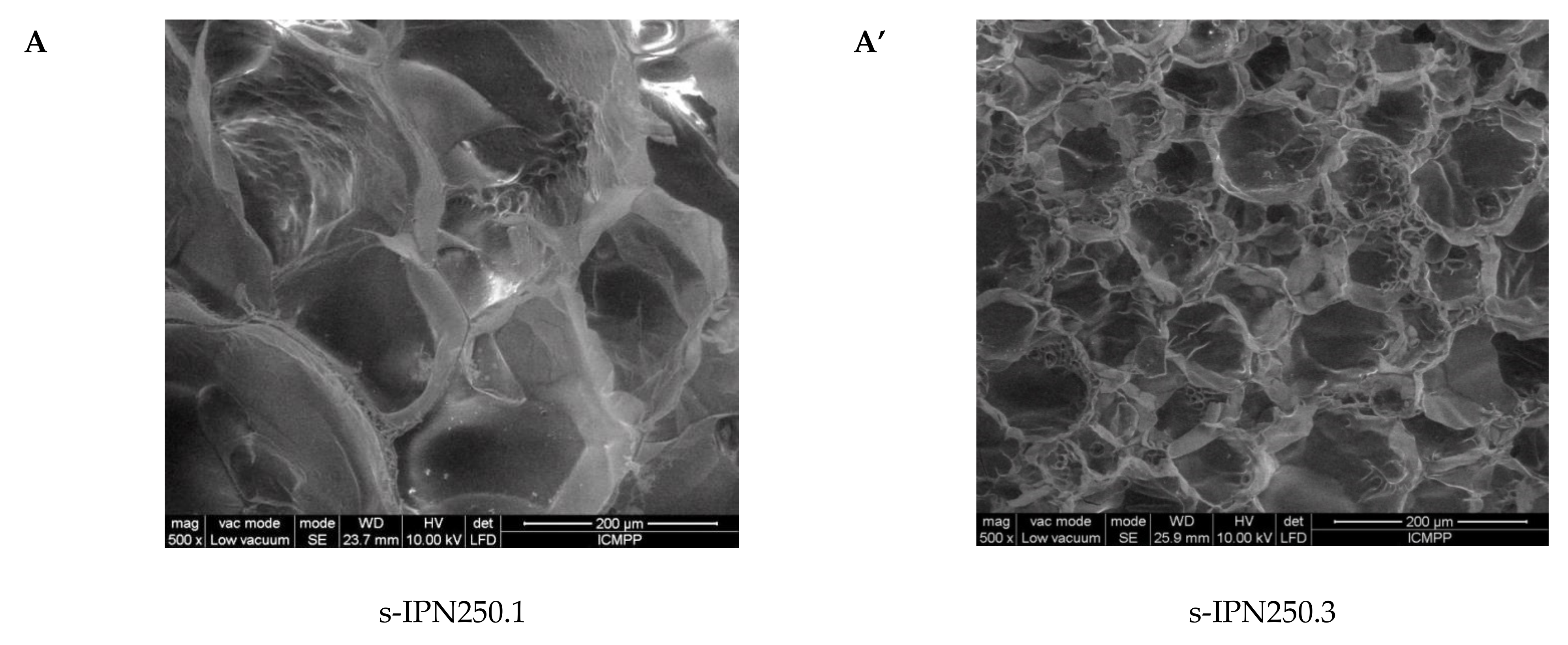 Molecules 26 06975 g003a