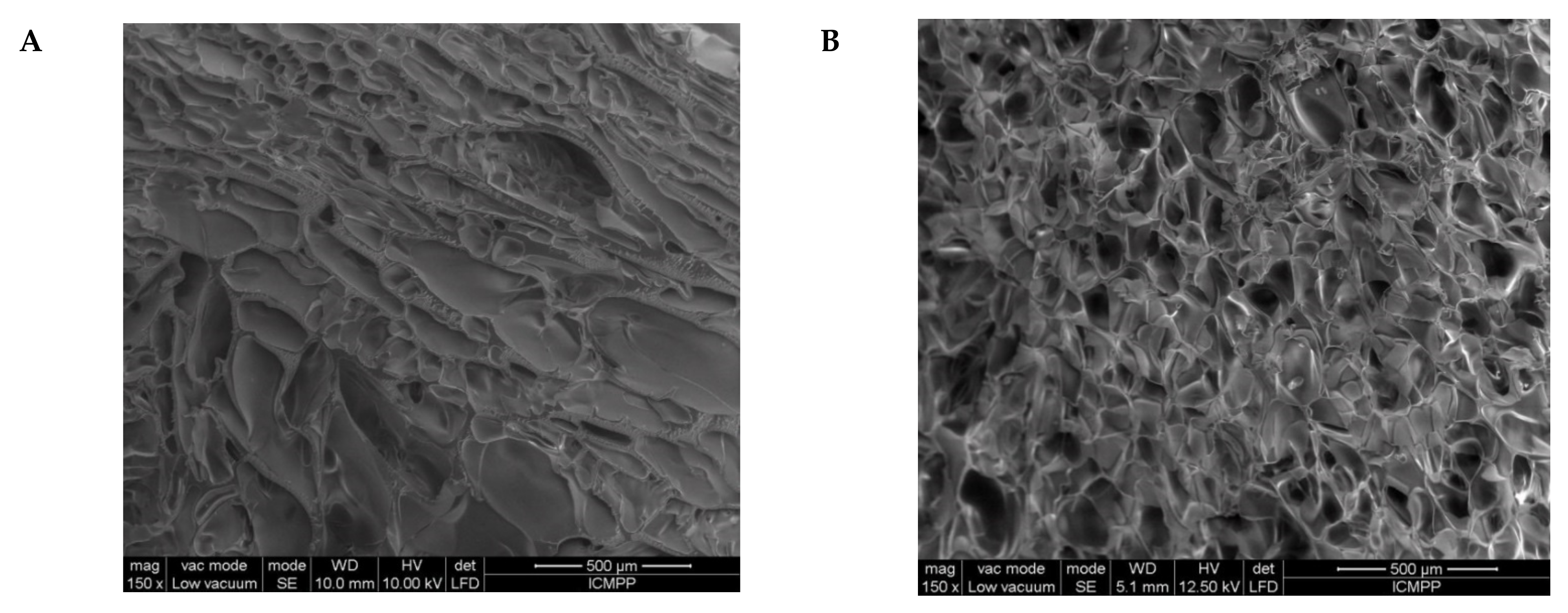 Molecules 26 06975 g005a