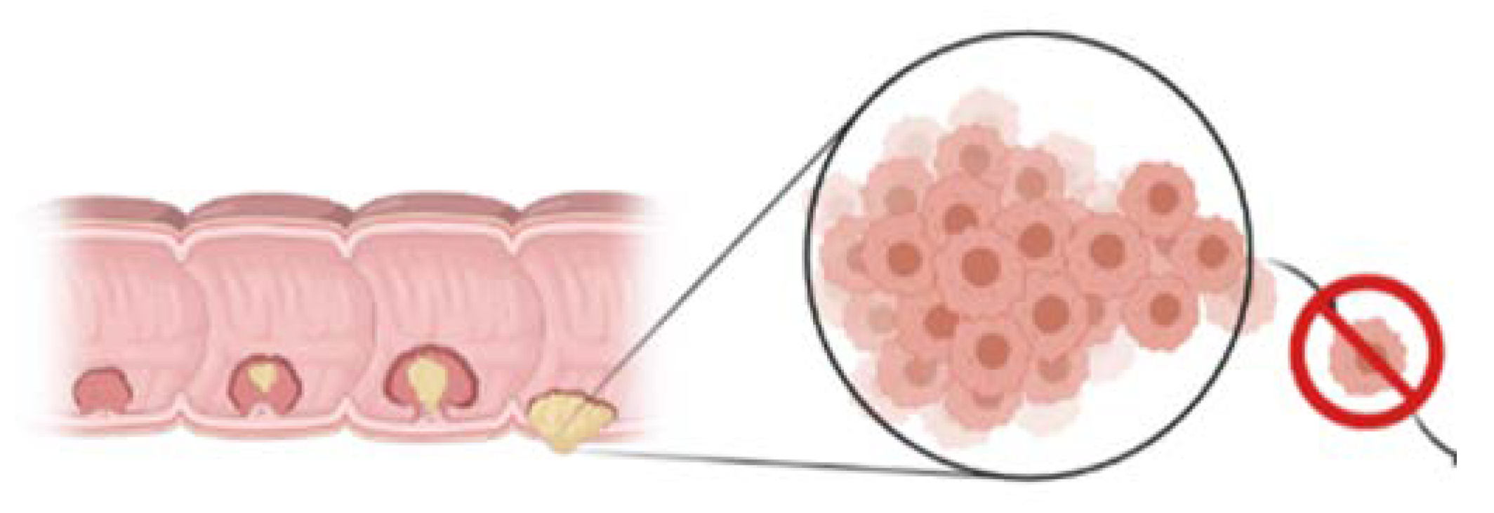 Molecules 26 07022 g002