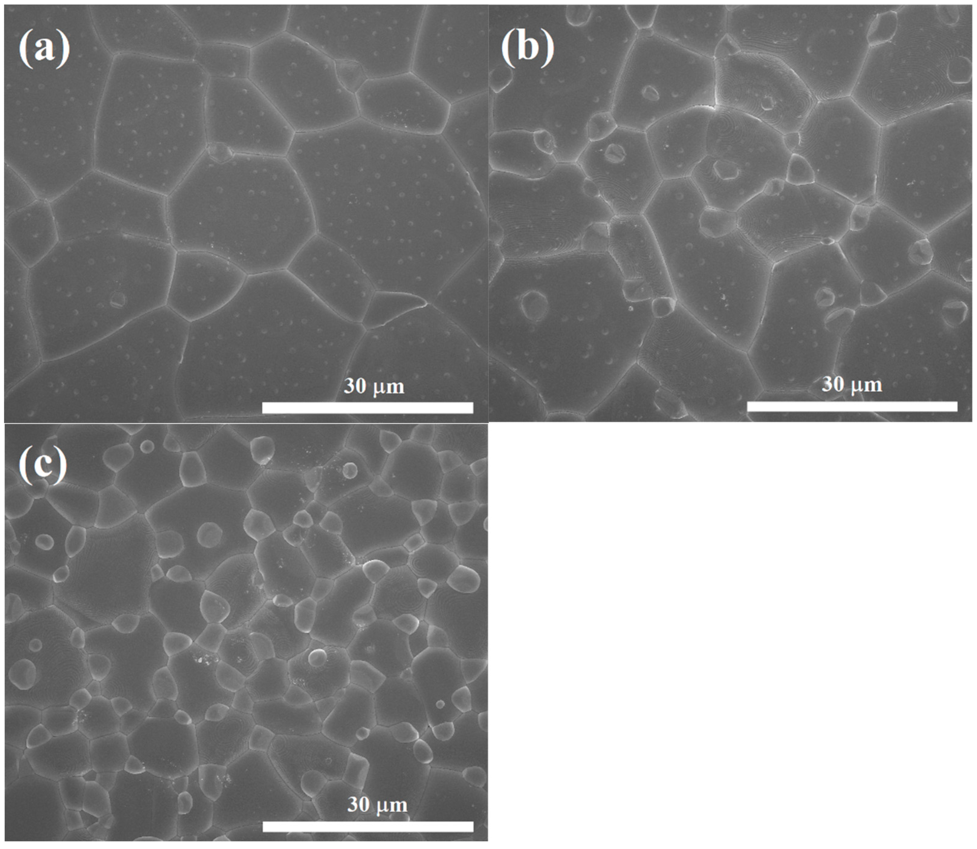 Molecules 26 07041 g002