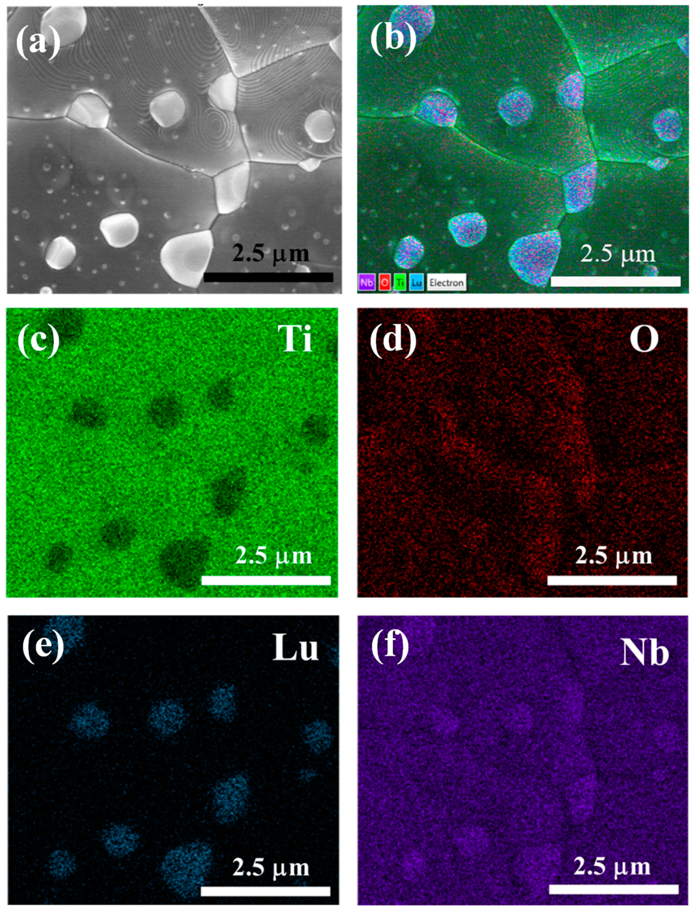 Molecules 26 07041 g003