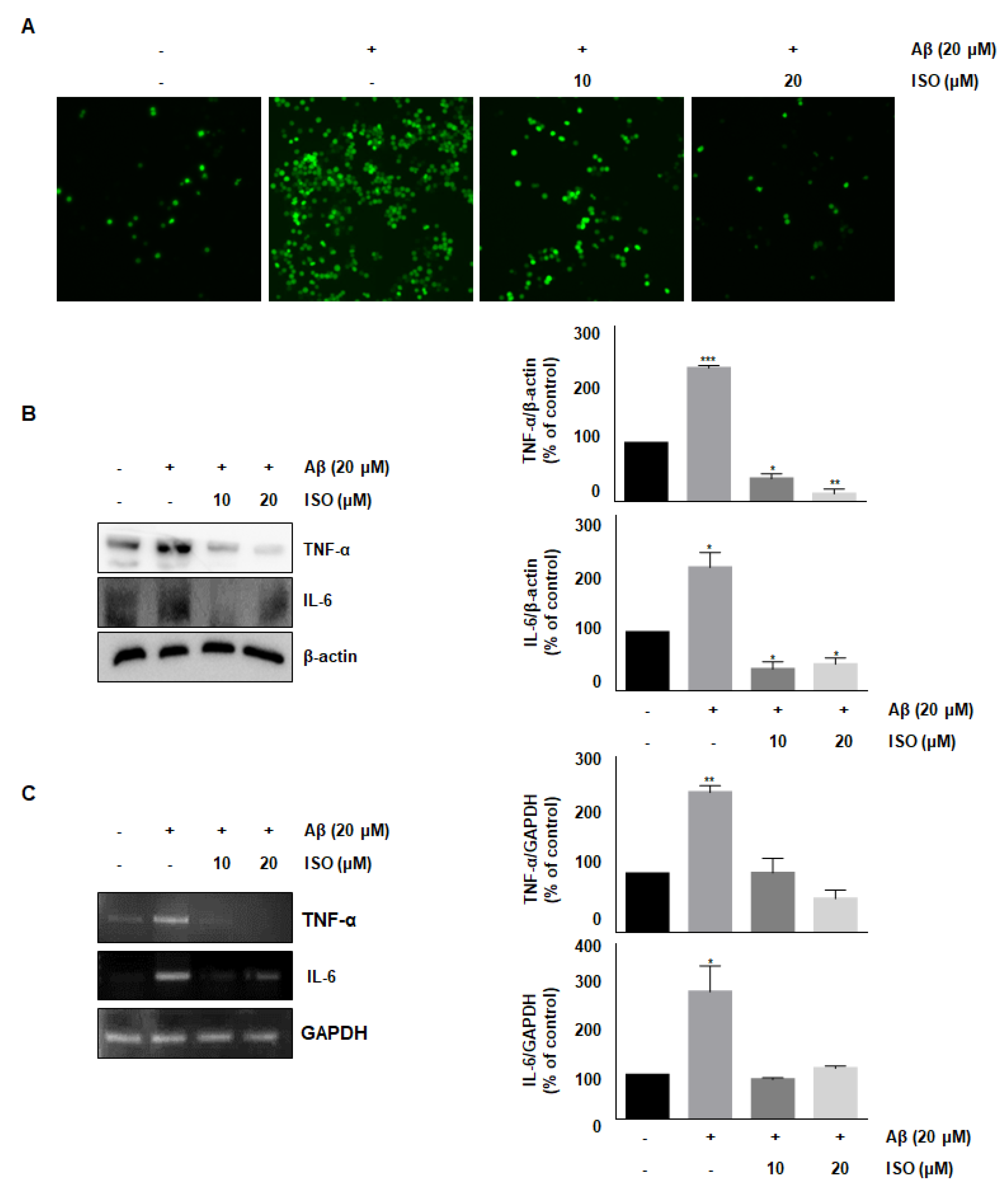Molecules 26 07056 g002