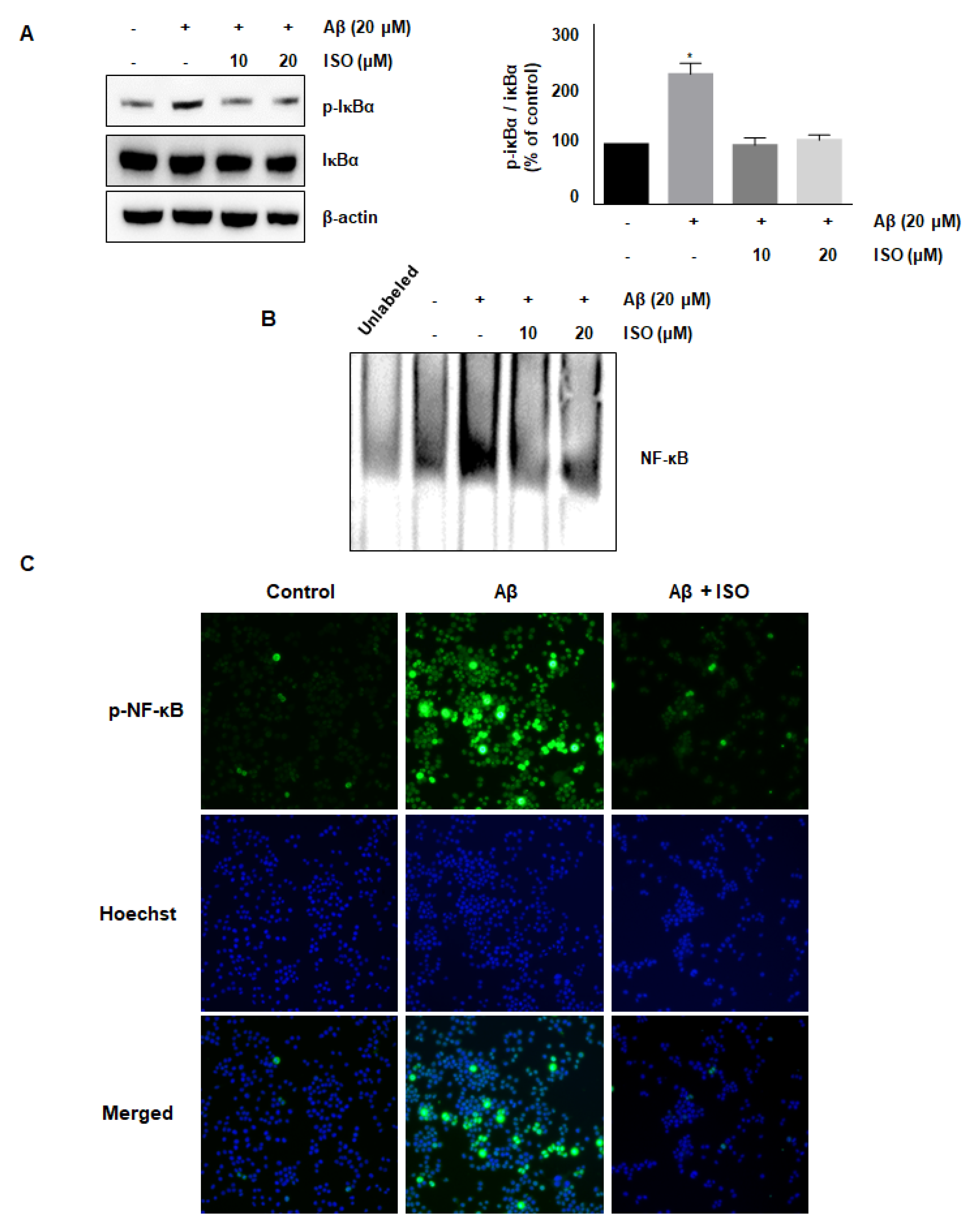 Molecules 26 07056 g003