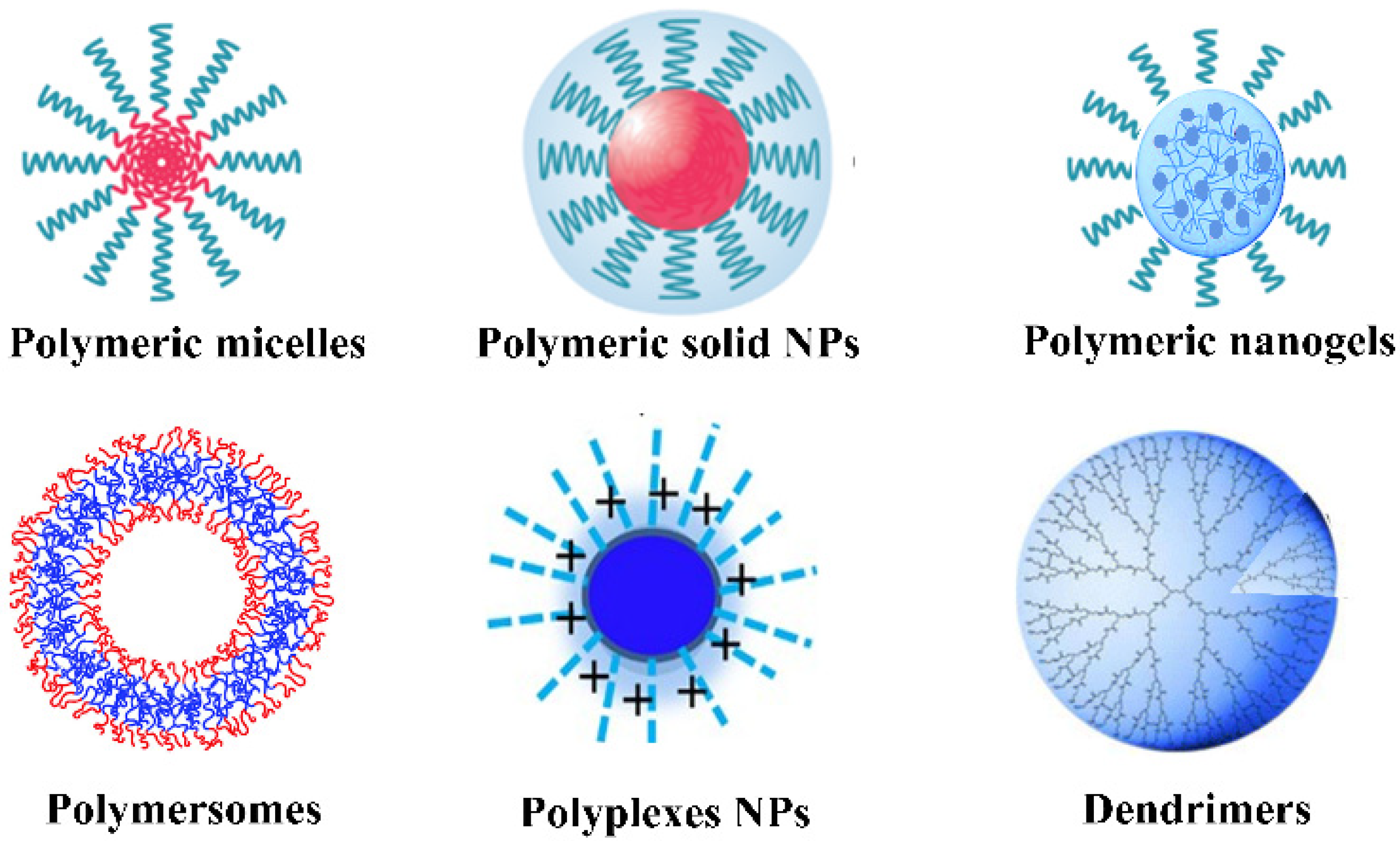 Molecules 26 07063 g009 Molecules 26 07063 g009