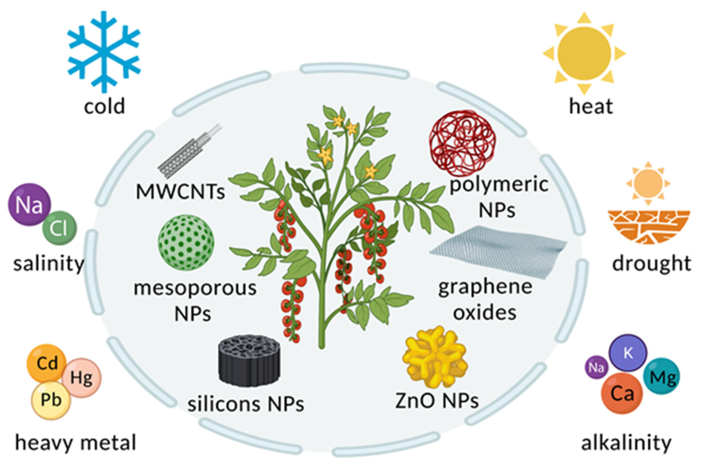 Molecules 26 07070 g002
