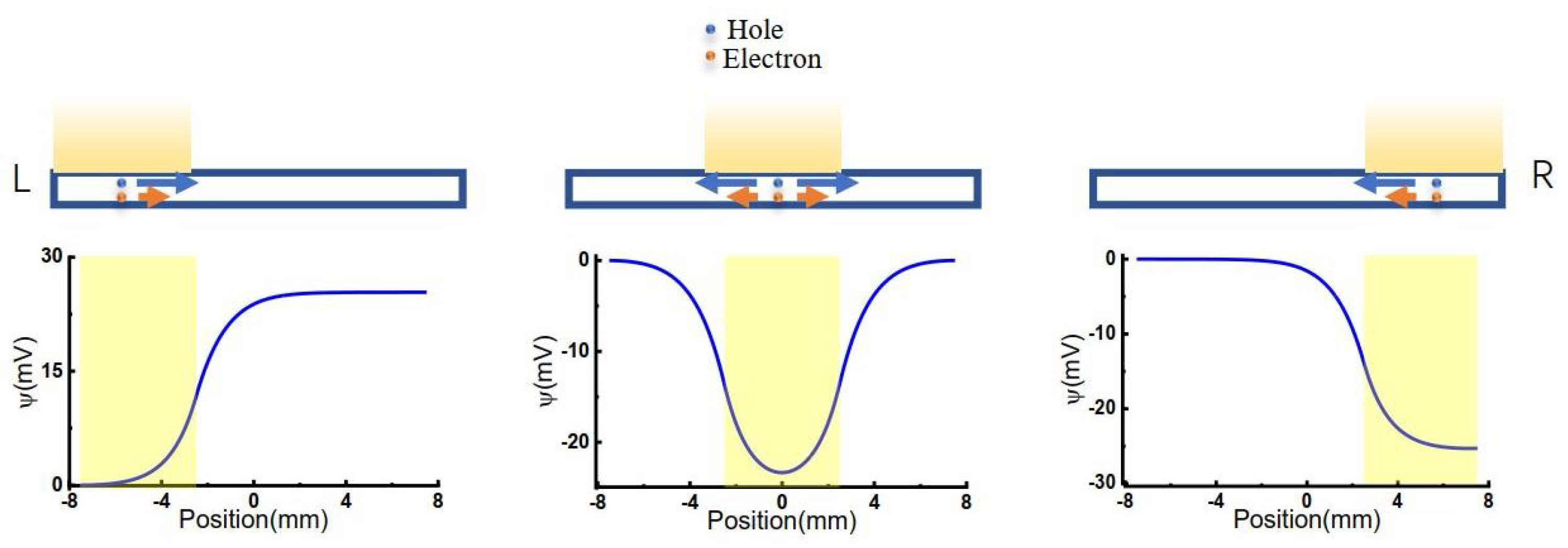 Molecules 26 07078 g001 Molecules 26 07078 g001